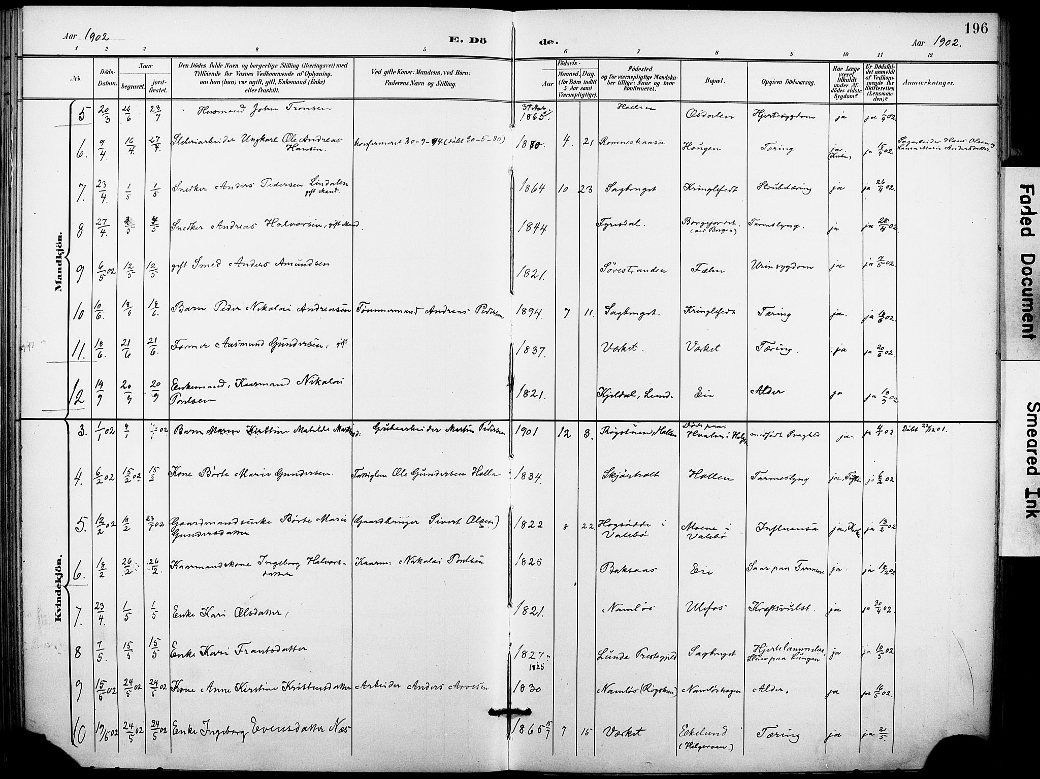 Holla kirkebøker, SAKO/A-272/F/Fa/L0010: Parish register (official) no. 10, 1897-1907, p. 196