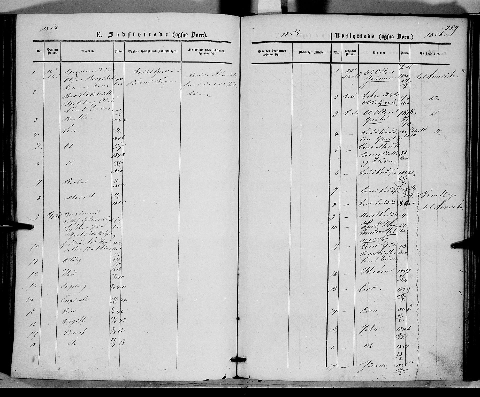 Vestre Slidre prestekontor, SAH/PREST-136/H/Ha/Haa/L0002: Parish register (official) no. 2, 1856-1864, p. 229