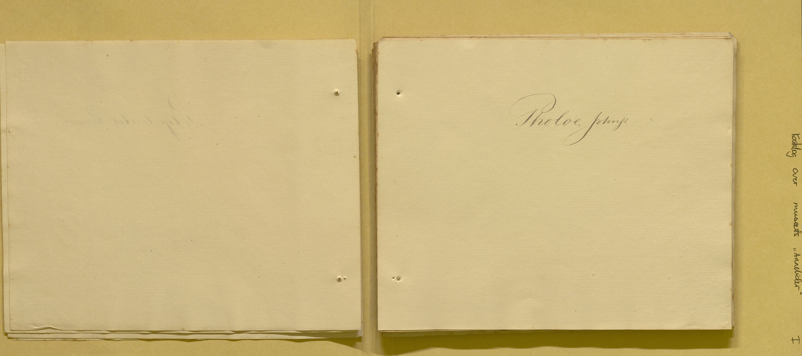 Bergens Museum, AV/SAB-A-17301/08/F/L0001: Fem udaterte kataloger fra 1800-tallet over leddormer, krepsdyr og fugler, 1825-1900, p. 8