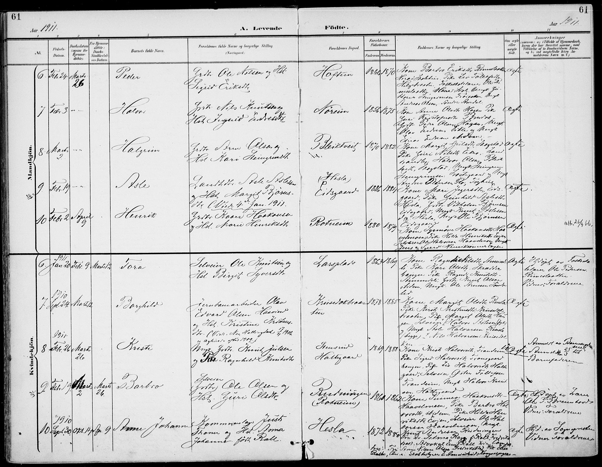 Gol kirkebøker, AV/SAKO-A-226/F/Fa/L0006: Parish register (official) no. I 6, 1901-1918, p. 61