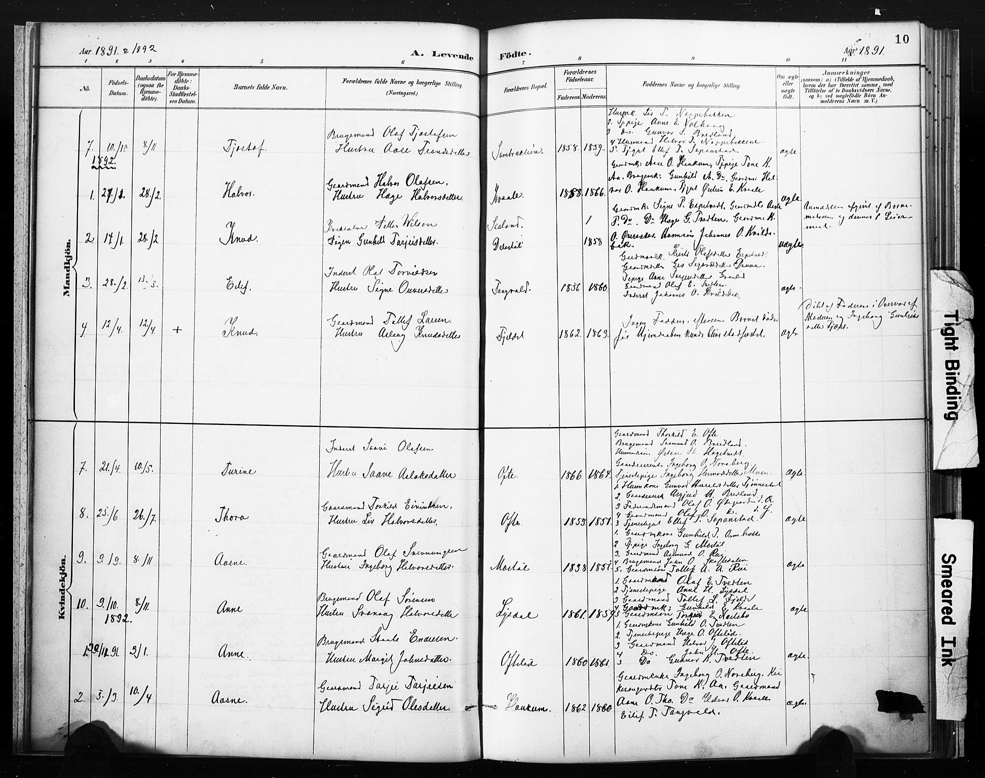 Lårdal kirkebøker, SAKO/A-284/F/Fc/L0002: Parish register (official) no. III 2, 1887-1906, p. 10
