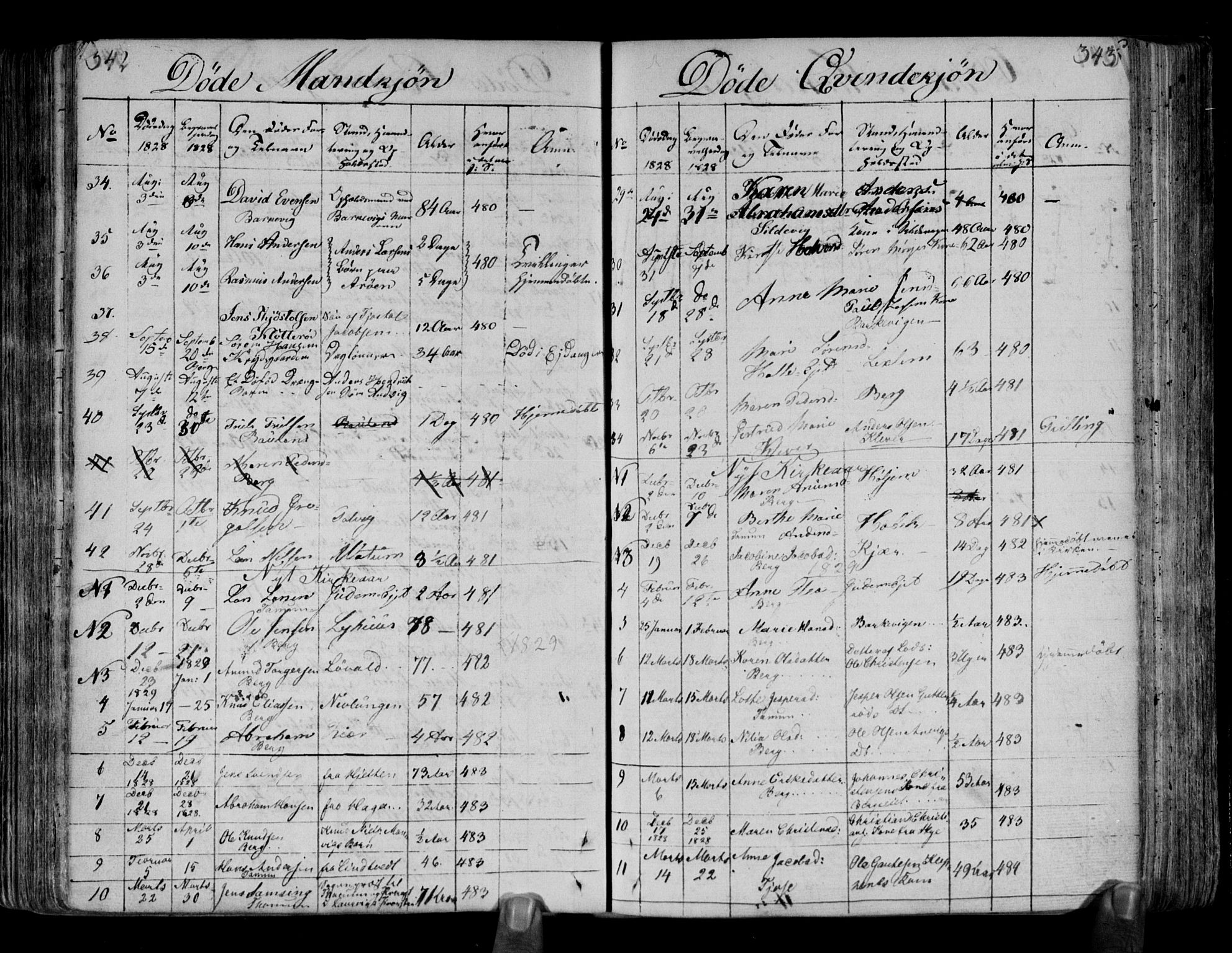 Brunlanes kirkebøker, AV/SAKO-A-342/F/Fa/L0002: Parish register (official) no. I 2, 1802-1834, p. 342-343