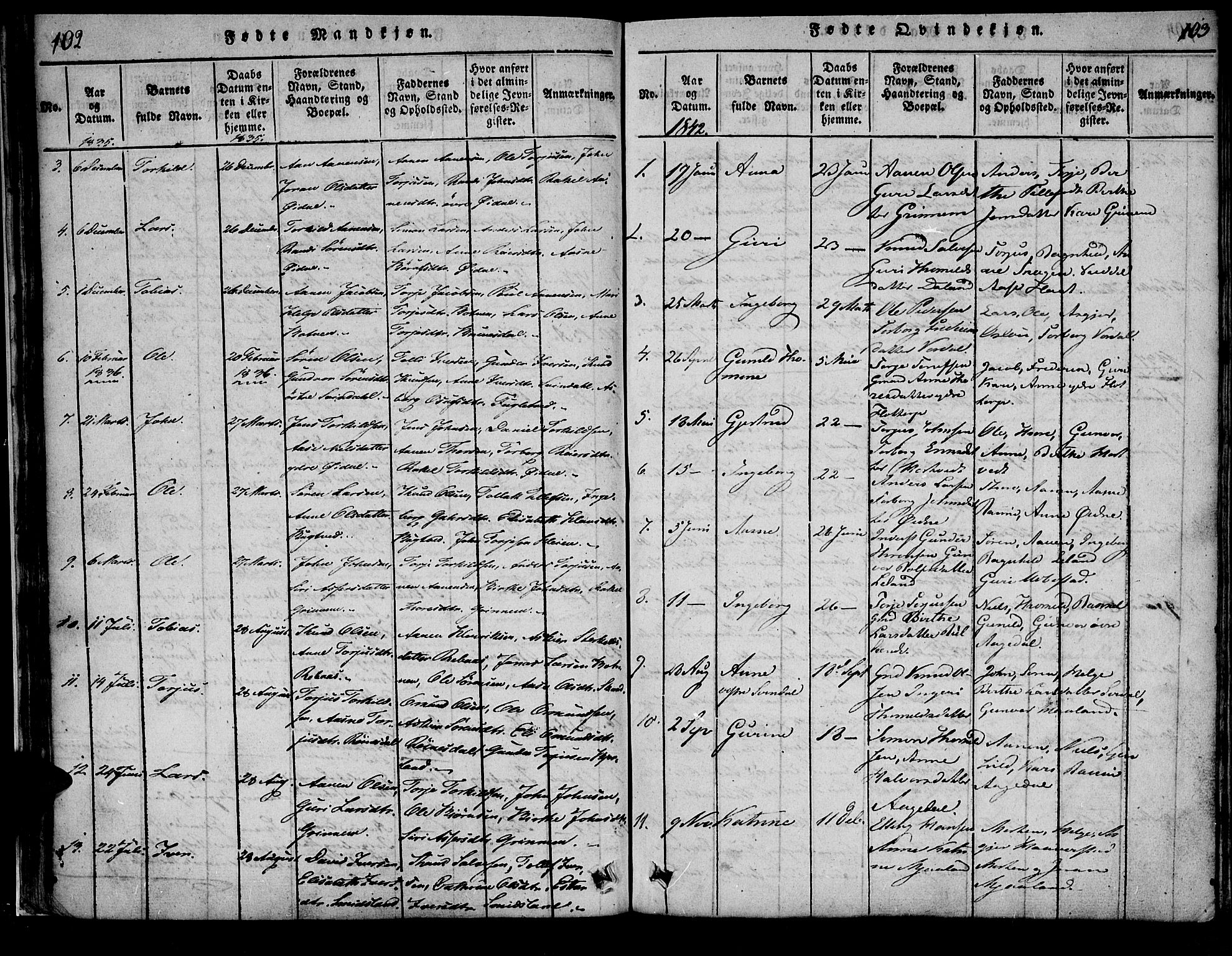 Bjelland sokneprestkontor, SAK/1111-0005/F/Fa/Fac/L0001: Parish register (official) no. A 1, 1815-1866, p. 102-103