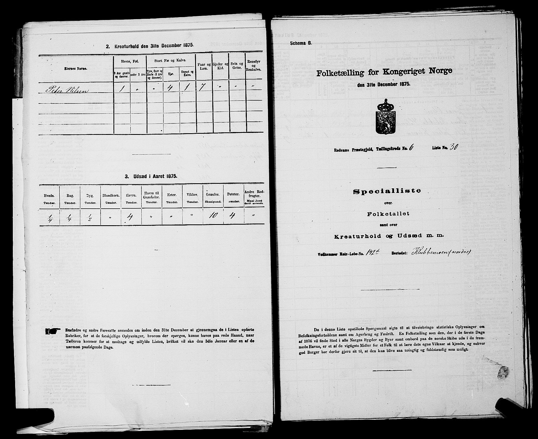 RA, 1875 census for 0120P Rødenes, 1875, p. 840