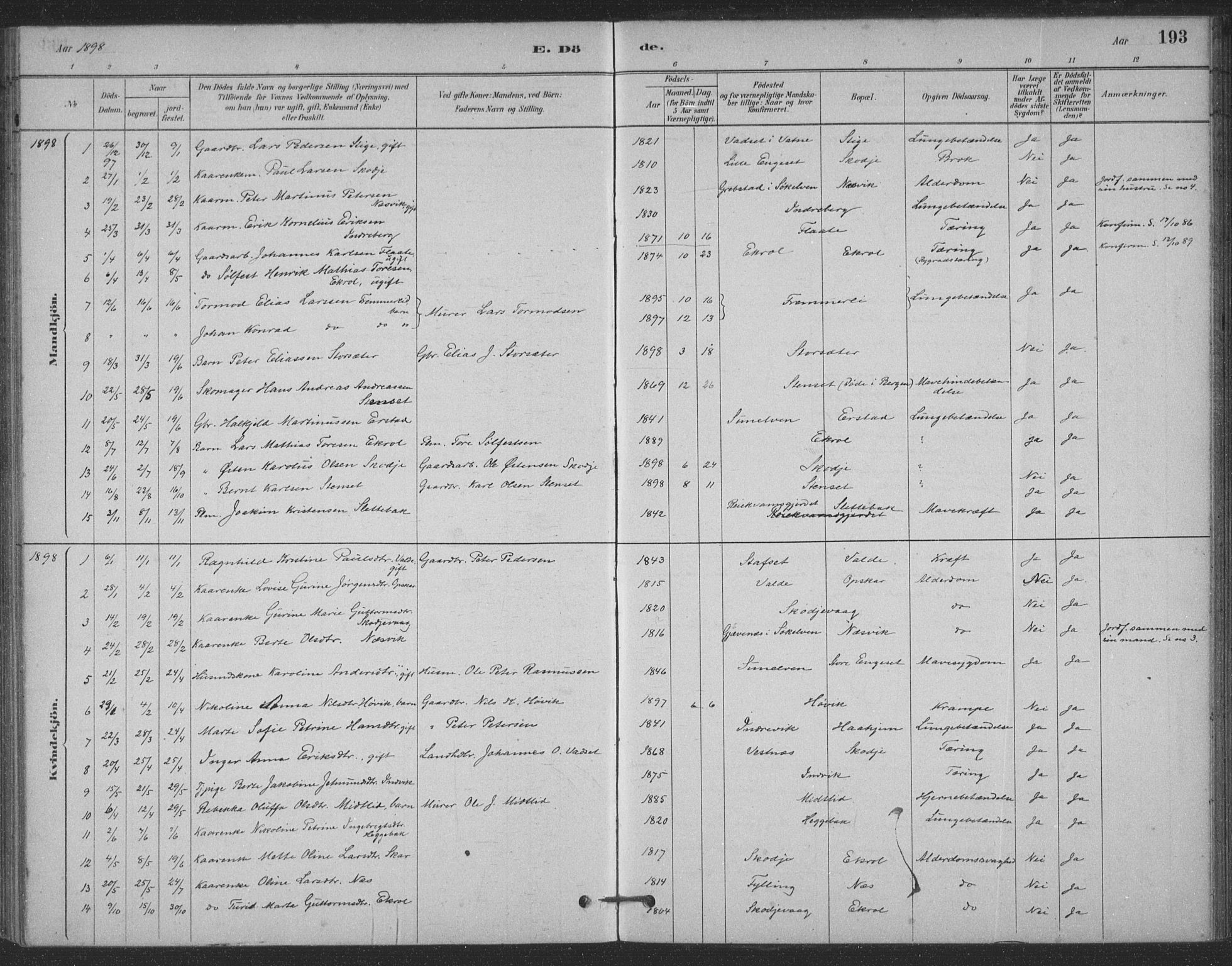 Ministerialprotokoller, klokkerbøker og fødselsregistre - Møre og Romsdal, AV/SAT-A-1454/524/L0356: Parish register (official) no. 524A08, 1880-1899, p. 193