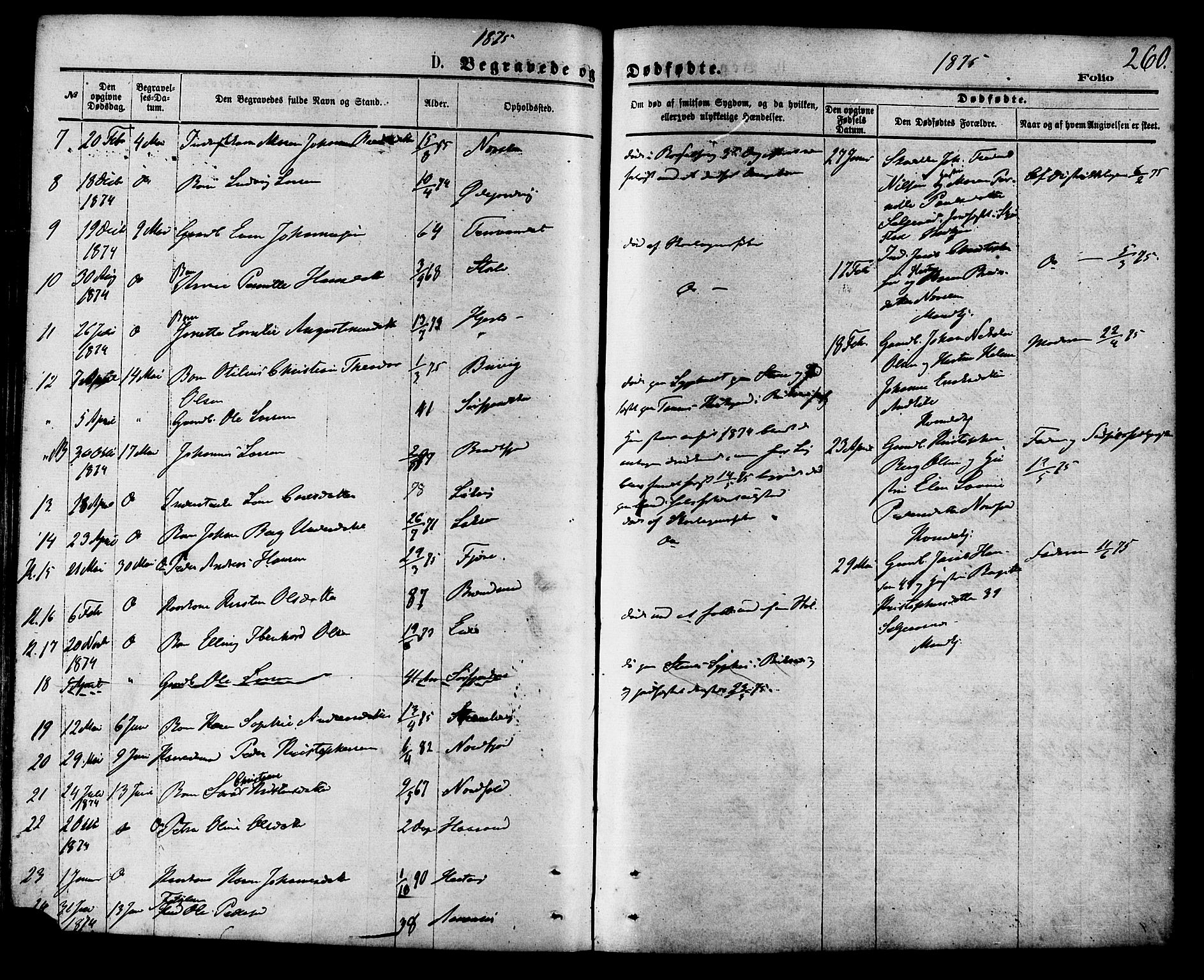 Ministerialprotokoller, klokkerbøker og fødselsregistre - Nordland, SAT/A-1459/853/L0771: Parish register (official) no. 853A10, 1870-1881, p. 260
