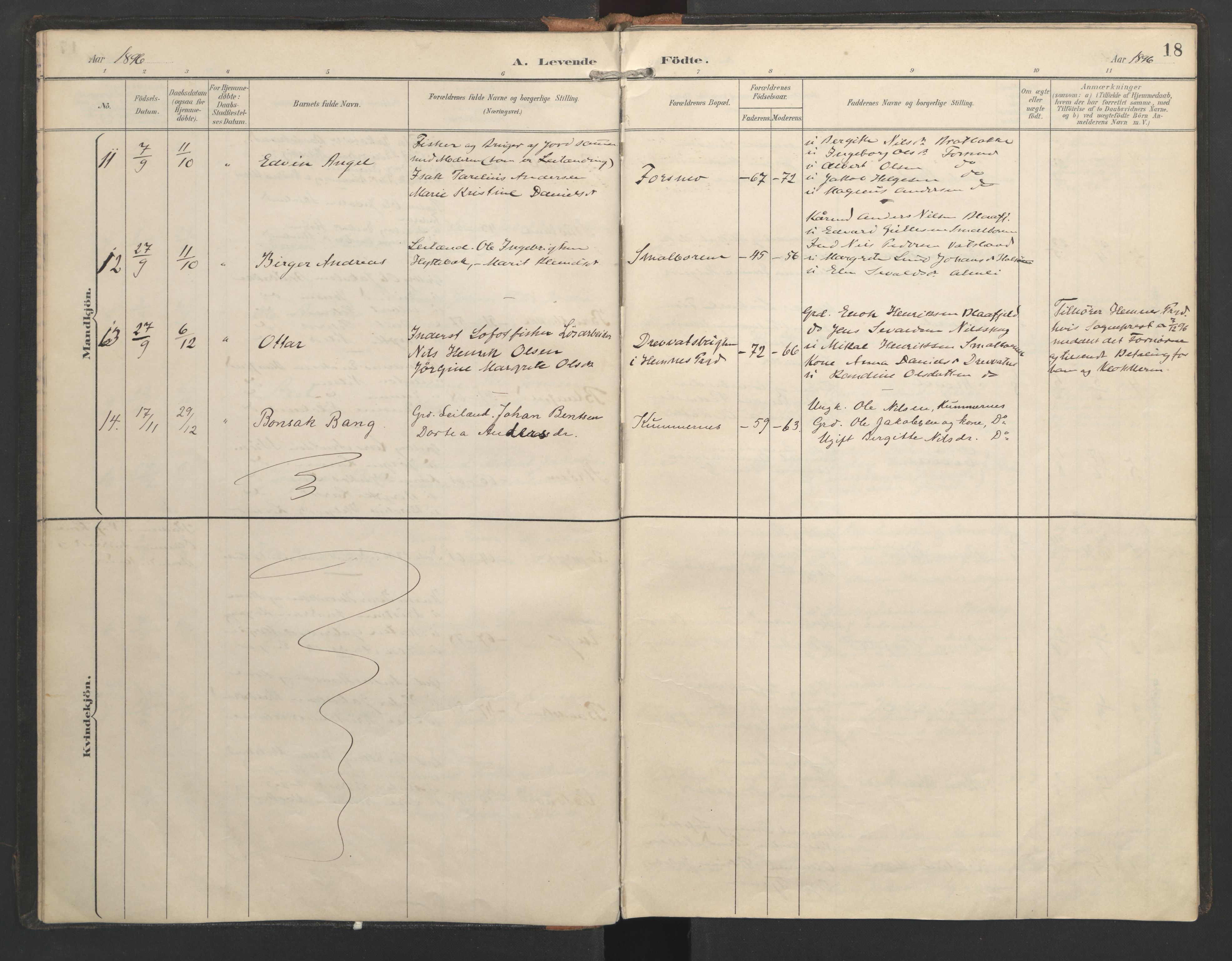 Ministerialprotokoller, klokkerbøker og fødselsregistre - Nordland, SAT/A-1459/821/L0317: Parish register (official) no. 821A01, 1892-1907, p. 18