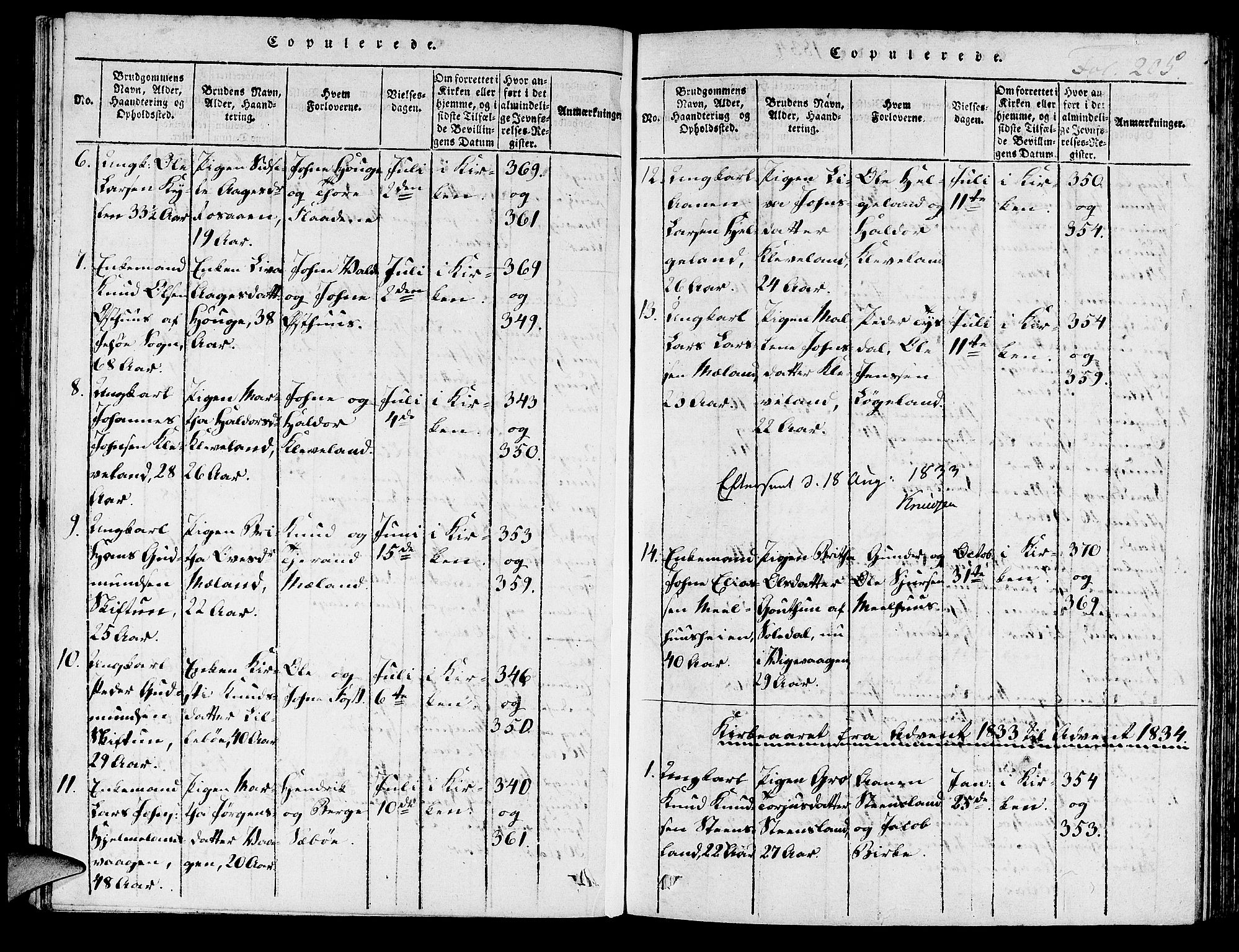Hjelmeland sokneprestkontor, SAST/A-101843/01/IV/L0003: Parish register (official) no. A 3, 1816-1834, p. 205