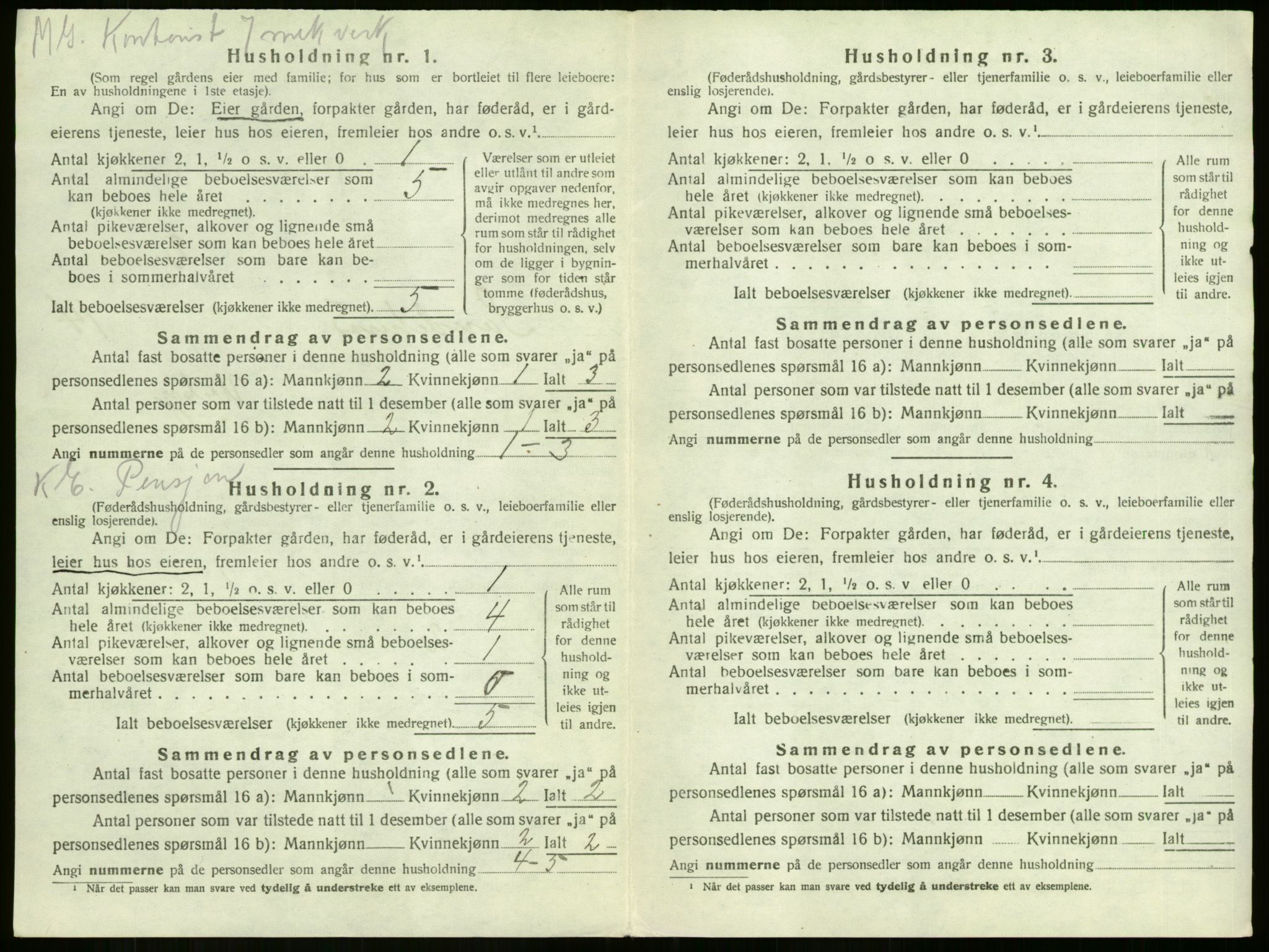 SAKO, 1920 census for Sandeherred, 1920, p. 2867