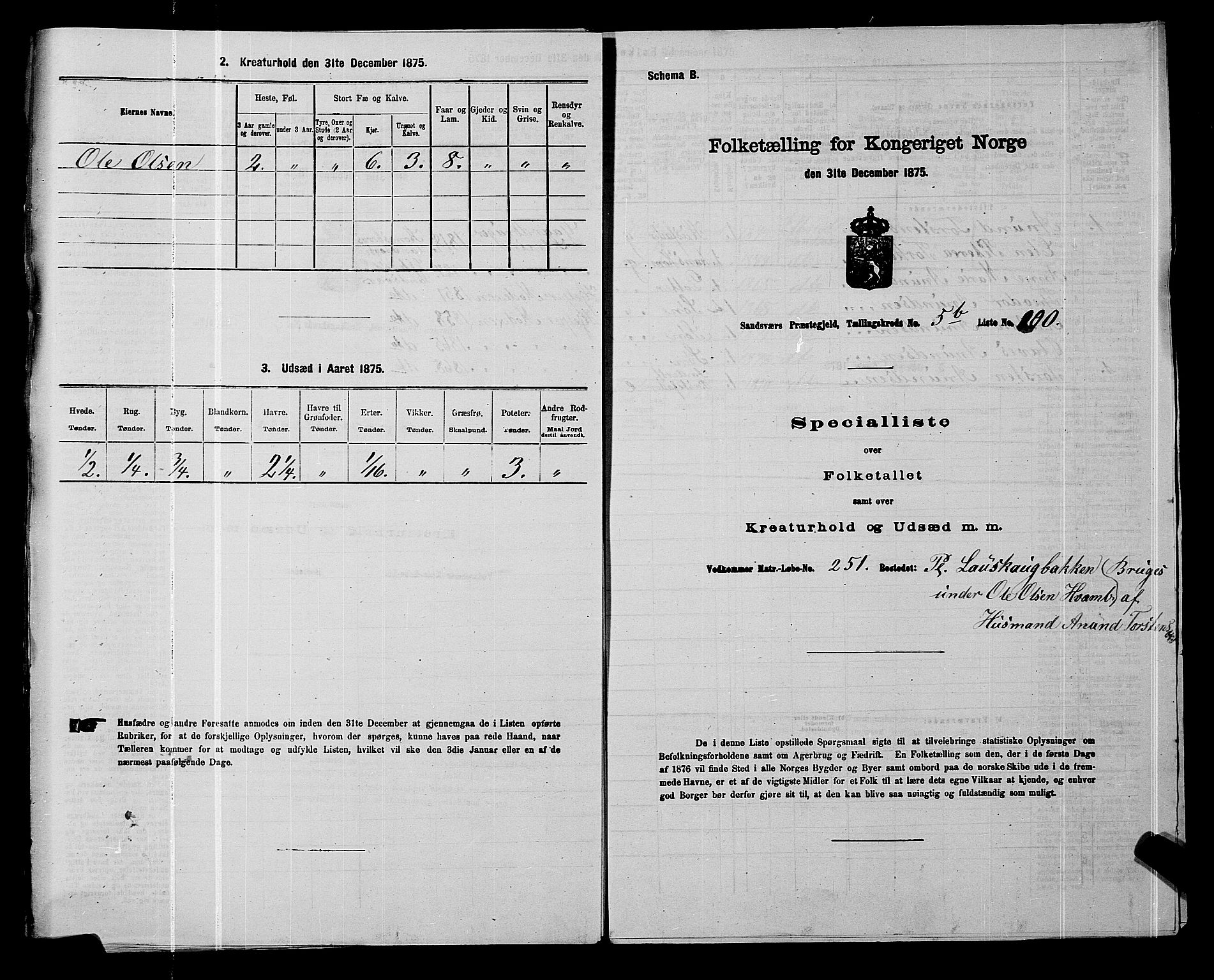 SAKO, 1875 census for 0629P Sandsvær, 1875, p. 1118