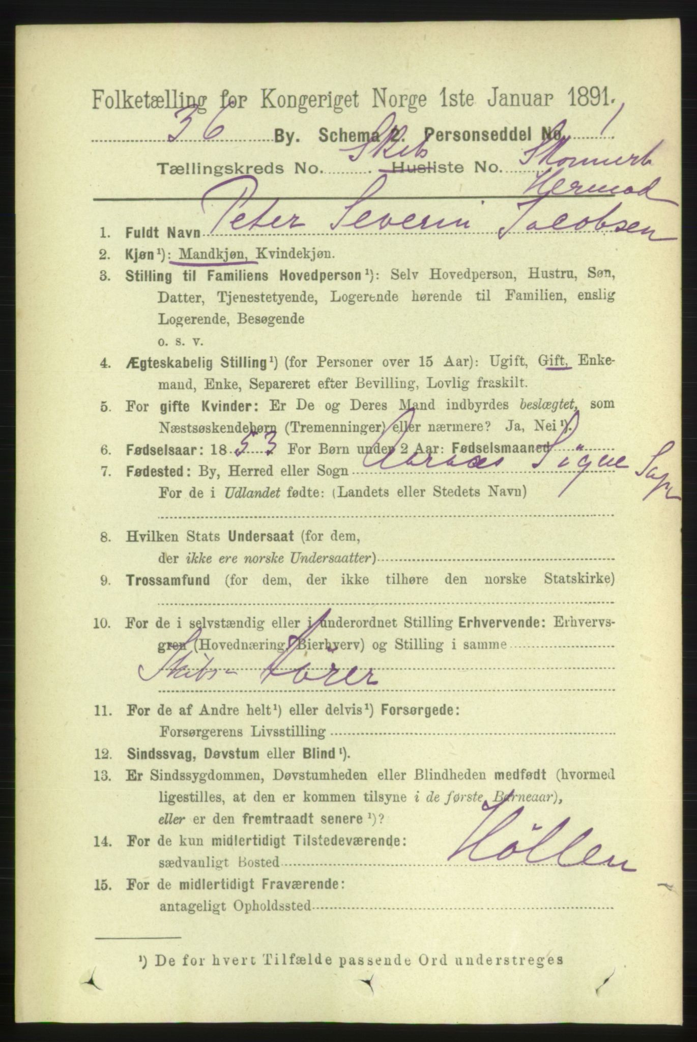 RA, 1891 census for 1001 Kristiansand, 1891, p. 16104