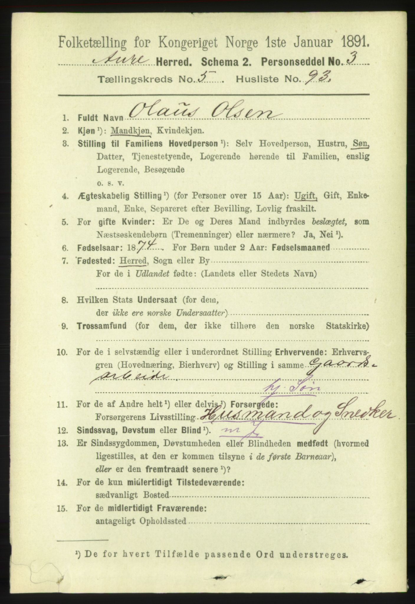 RA, 1891 census for 1569 Aure, 1891, p. 3300