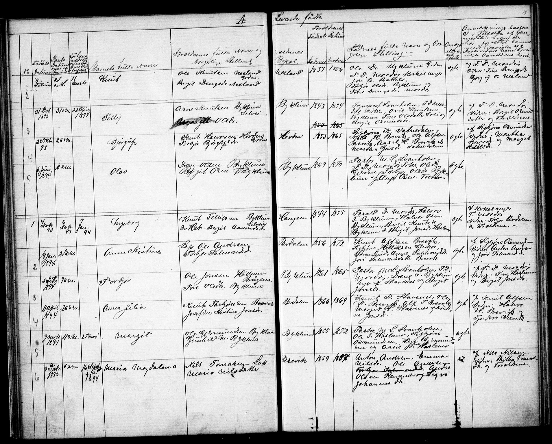 Valle sokneprestkontor, SAK/1111-0044/F/Fb/Fba/L0002: Parish register (copy) no. B 2, 1882-1894, p. 19