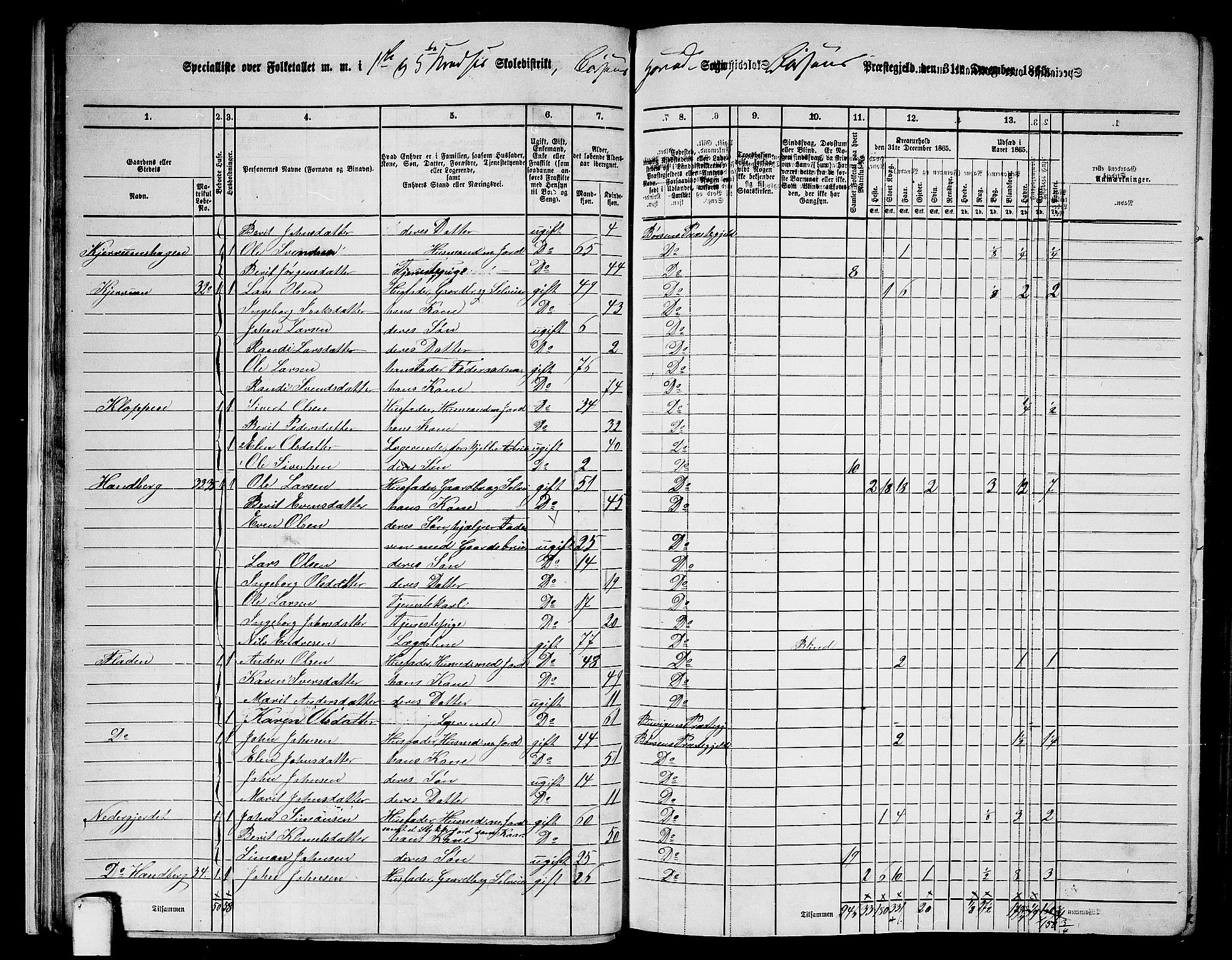 RA, 1865 census for Børsa, 1865, p. 19