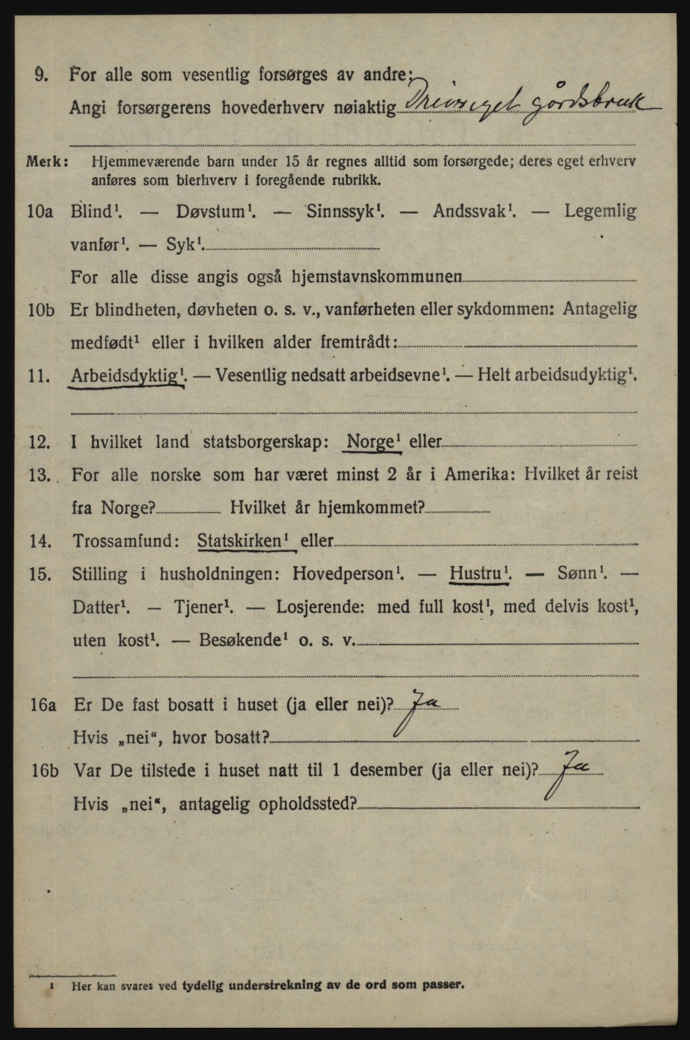 SAO, 1920 census for Skjeberg, 1920, p. 15072