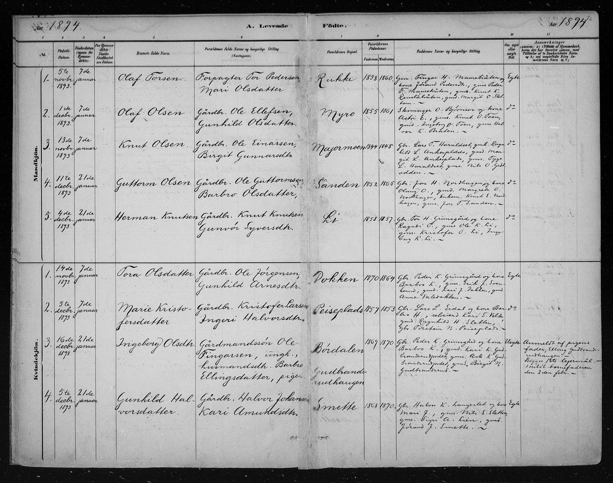 Nes kirkebøker, AV/SAKO-A-236/F/Fa/L0011: Parish register (official) no. 11, 1881-1912, p. 76