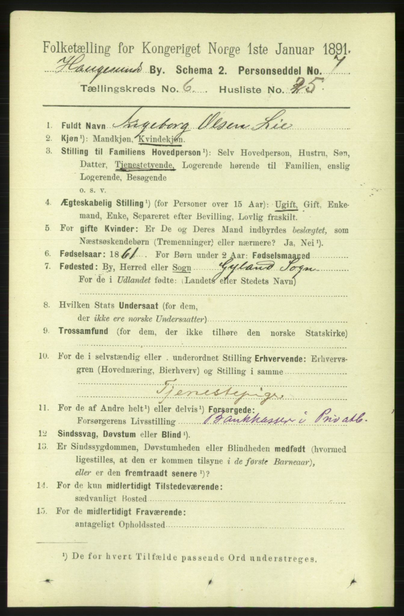 RA, 1891 census for 1106 Haugesund, 1891, p. 2842