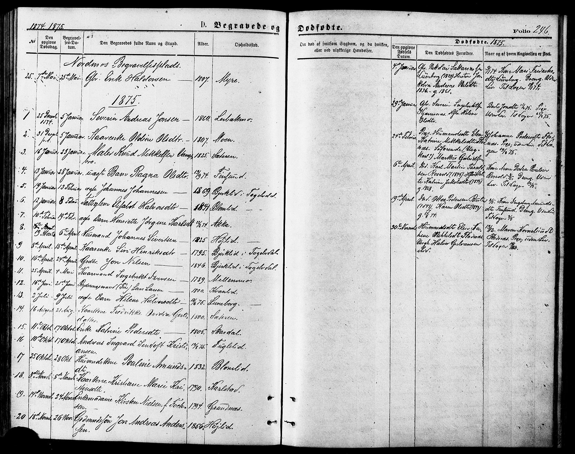 Målselv sokneprestembete, SATØ/S-1311/G/Ga/Gaa/L0005kirke: Parish register (official) no. 5, 1872-1884, p. 246