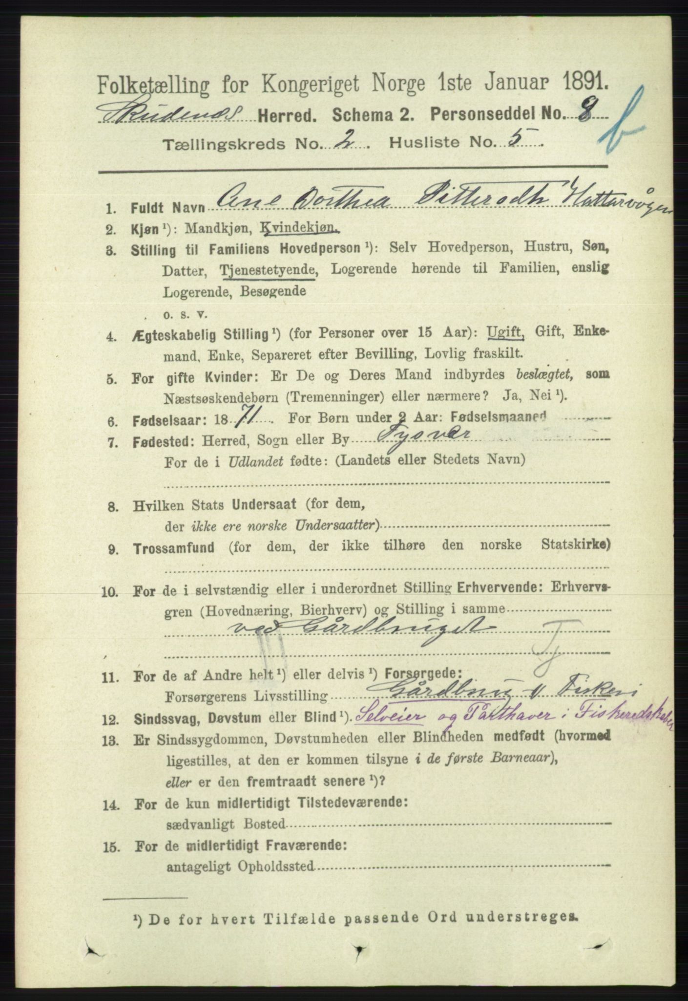 RA, 1891 census for 1150 Skudenes, 1891, p. 3742