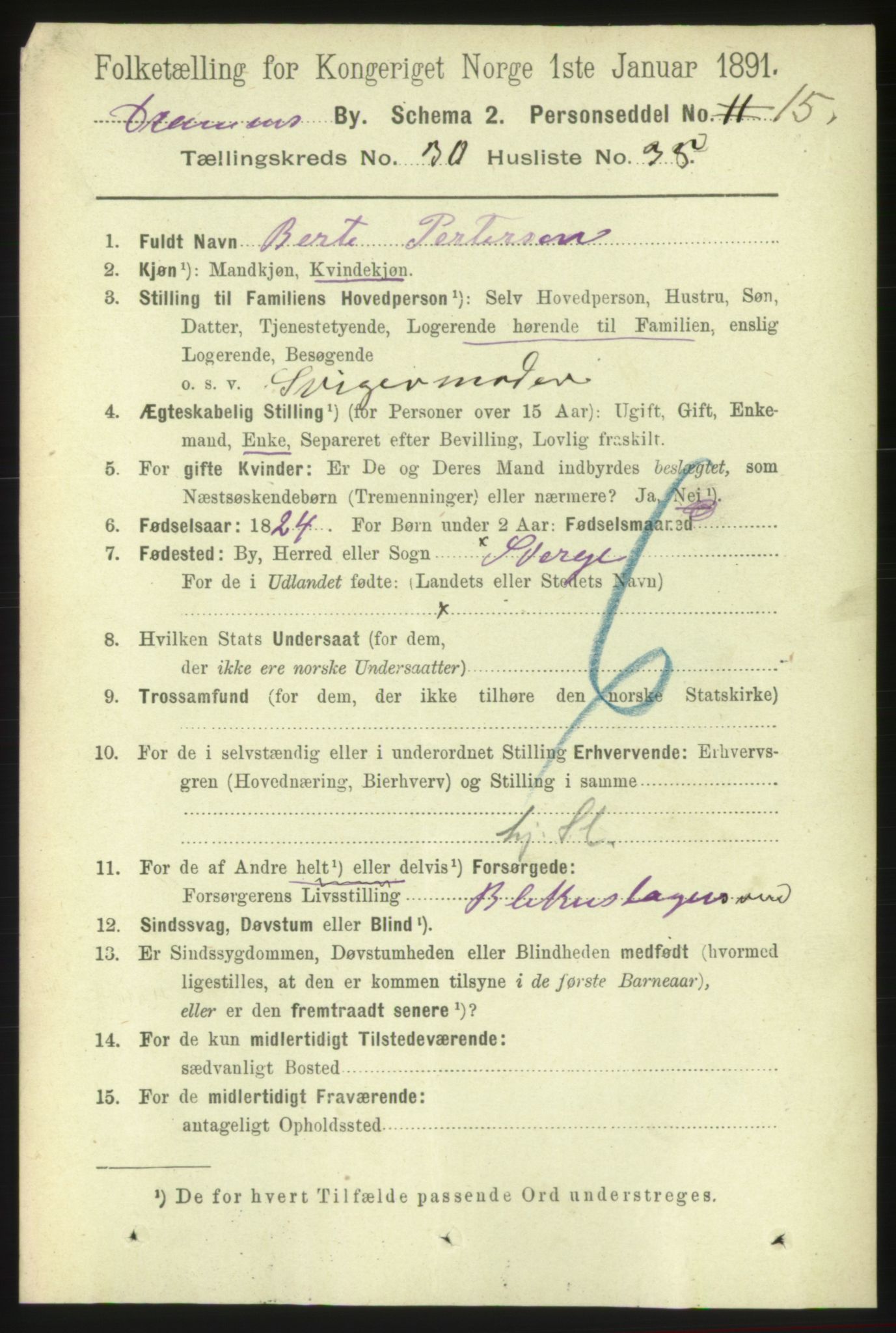 RA, 1891 census for 0602 Drammen, 1891, p. 18564