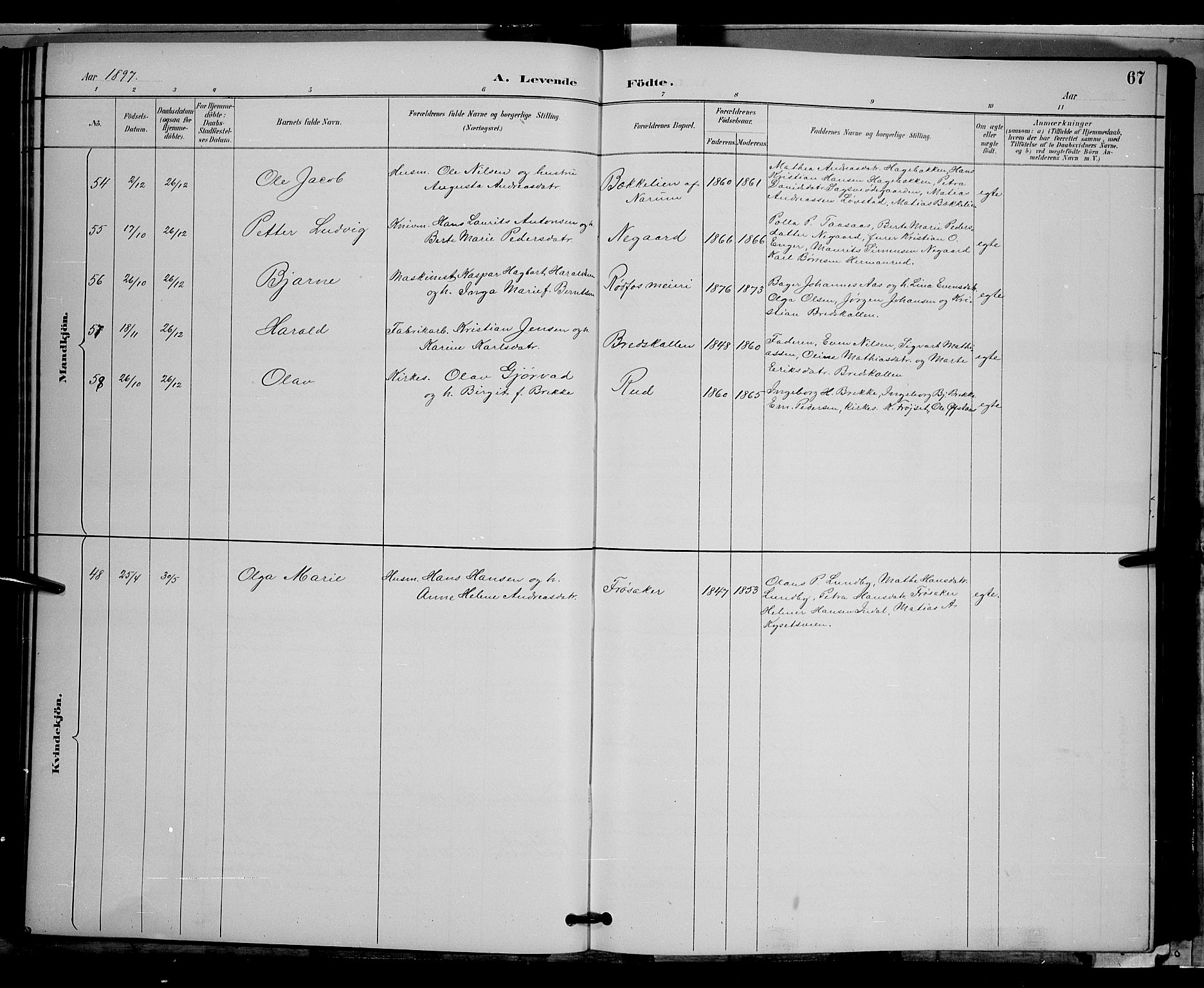 Vestre Toten prestekontor, AV/SAH-PREST-108/H/Ha/Hab/L0009: Parish register (copy) no. 9, 1888-1900, p. 67