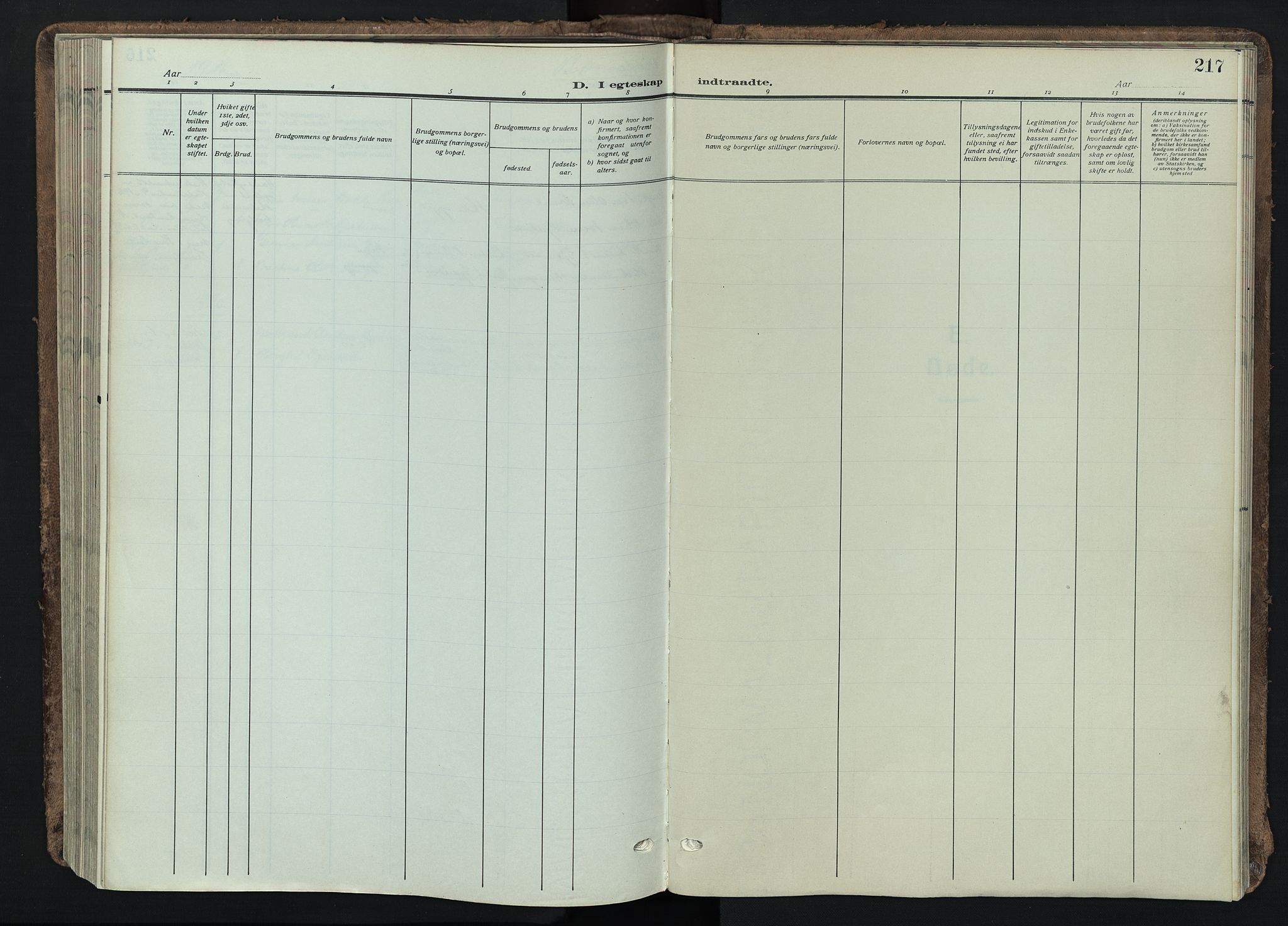 Tynset prestekontor, SAH/PREST-058/H/Ha/Haa/L0026: Parish register (official) no. 26, 1915-1929, p. 217