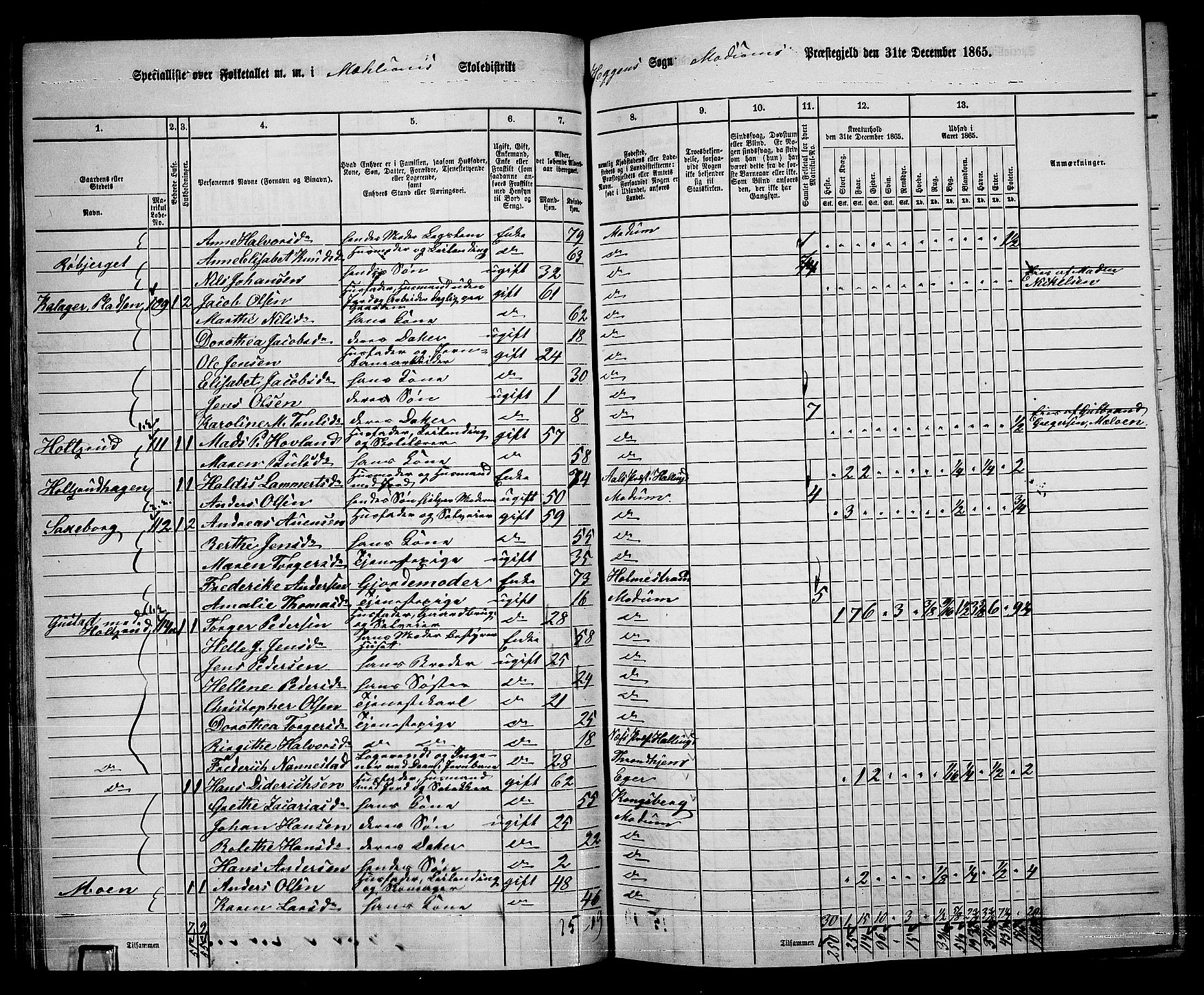 RA, 1865 census for Modum, 1865, p. 74