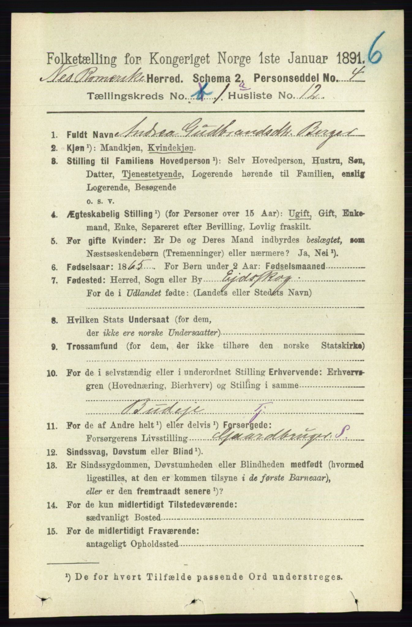 RA, 1891 census for 0236 Nes, 1891, p. 183
