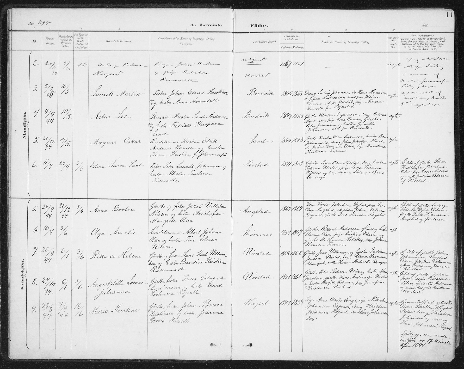 Ministerialprotokoller, klokkerbøker og fødselsregistre - Nordland, AV/SAT-A-1459/852/L0741: Parish register (official) no. 852A11, 1894-1917, p. 11