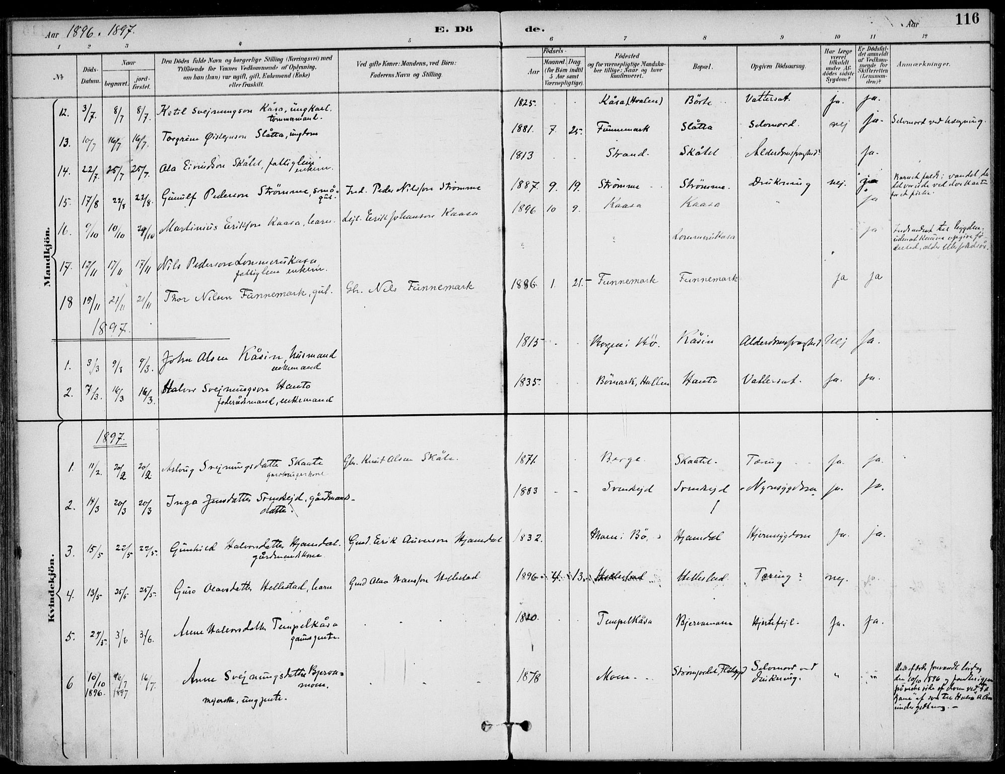 Lunde kirkebøker, SAKO/A-282/F/Fa/L0003: Parish register (official) no. I 3, 1893-1902, p. 116