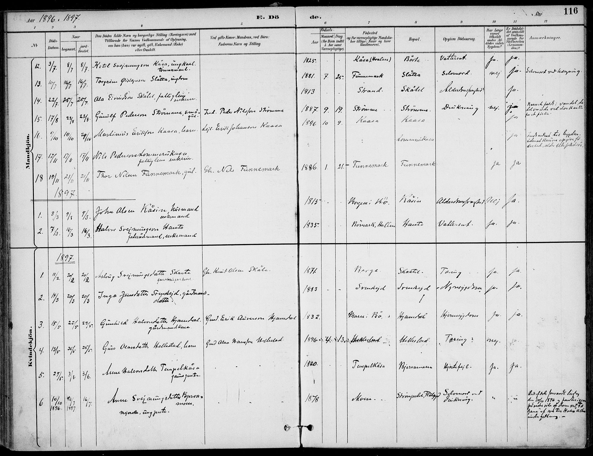 Lunde kirkebøker, AV/SAKO-A-282/F/Fa/L0003: Parish register (official) no. I 3, 1893-1902, p. 116