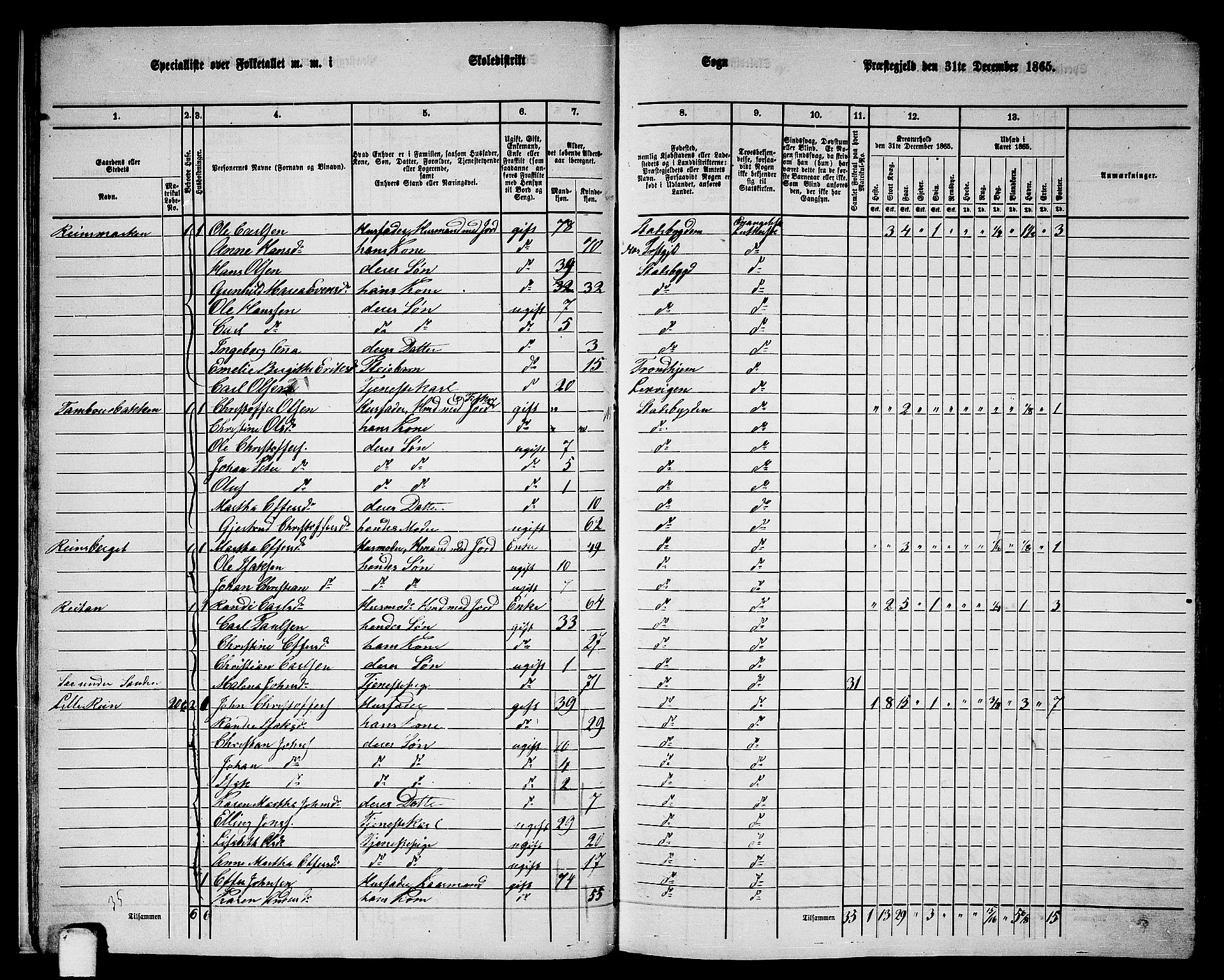 RA, 1865 census for Stadsbygd, 1865, p. 18