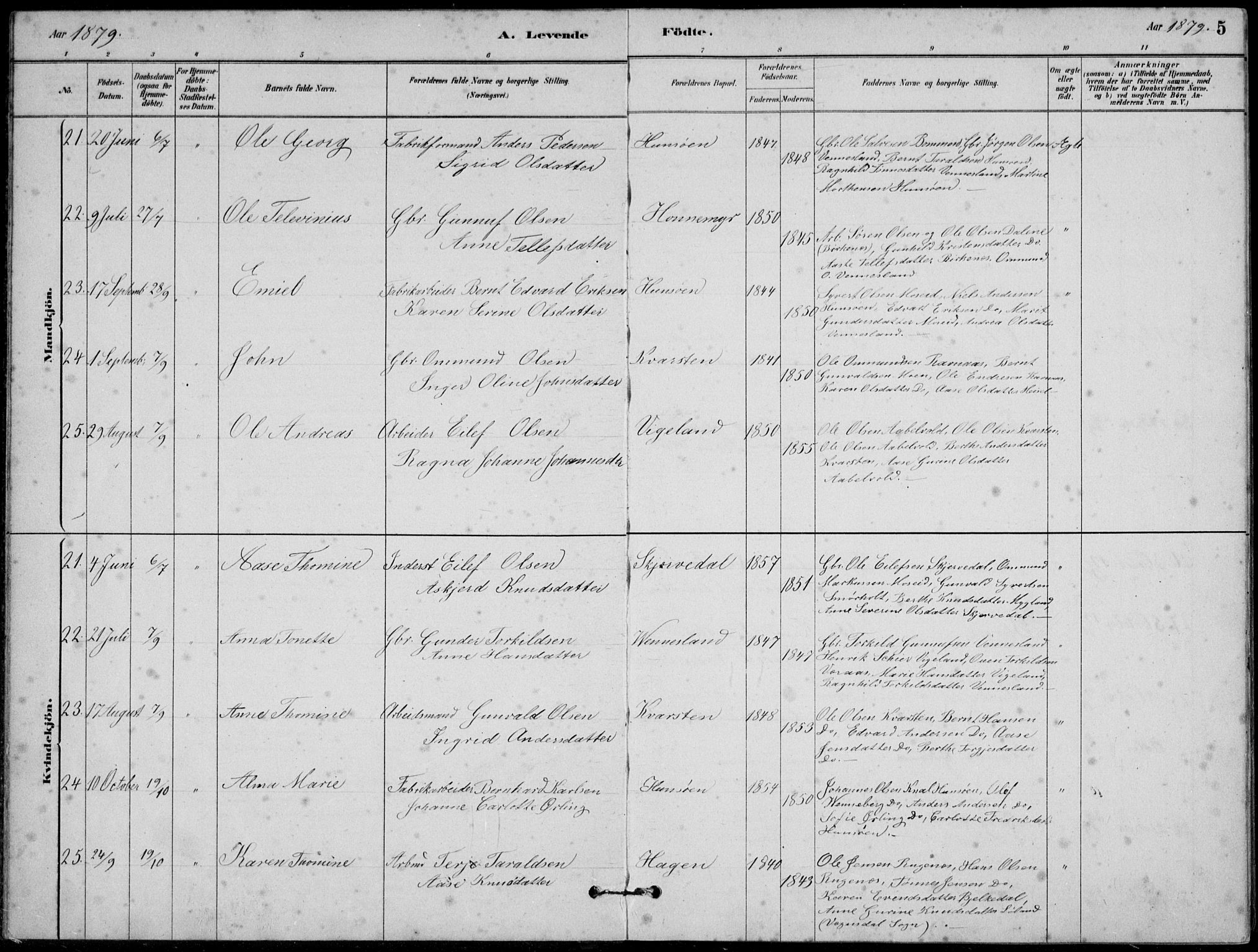 Vennesla sokneprestkontor, AV/SAK-1111-0045/Fb/Fbb/L0003: Parish register (copy) no. B 3, 1879-1893, p. 5