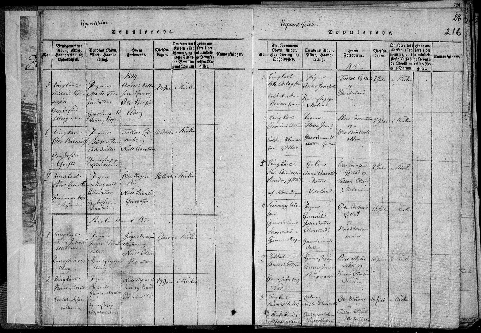 Holt sokneprestkontor, SAK/1111-0021/F/Fa/L0005: Parish register (official) no. A 5, 1813-1821, p. 216