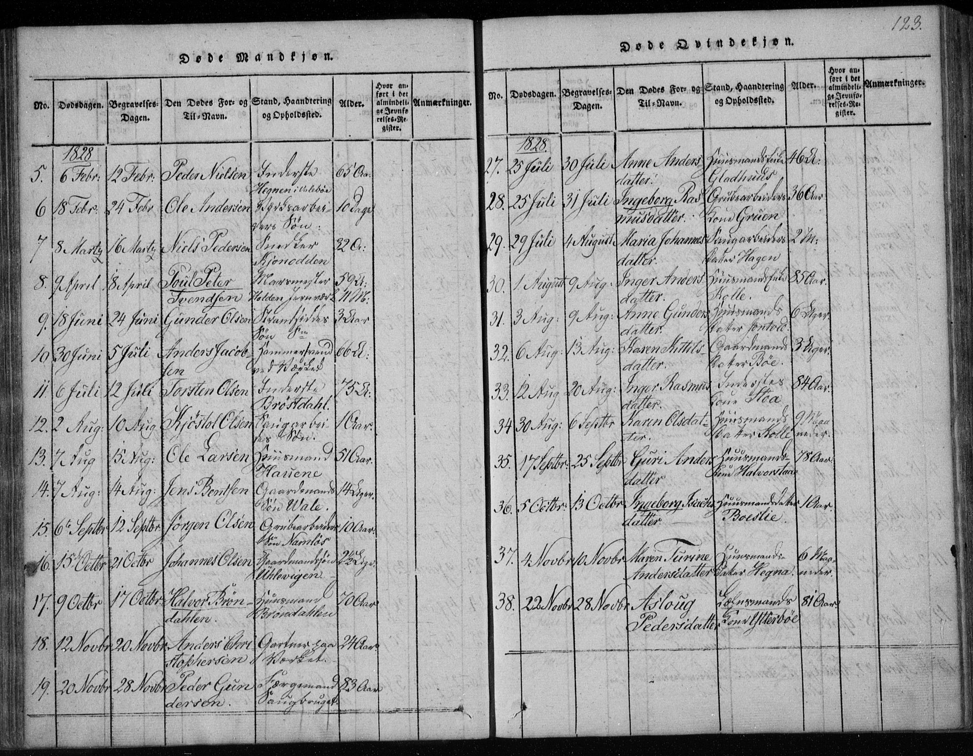 Holla kirkebøker, AV/SAKO-A-272/F/Fa/L0003: Parish register (official) no. 3, 1815-1830, p. 123