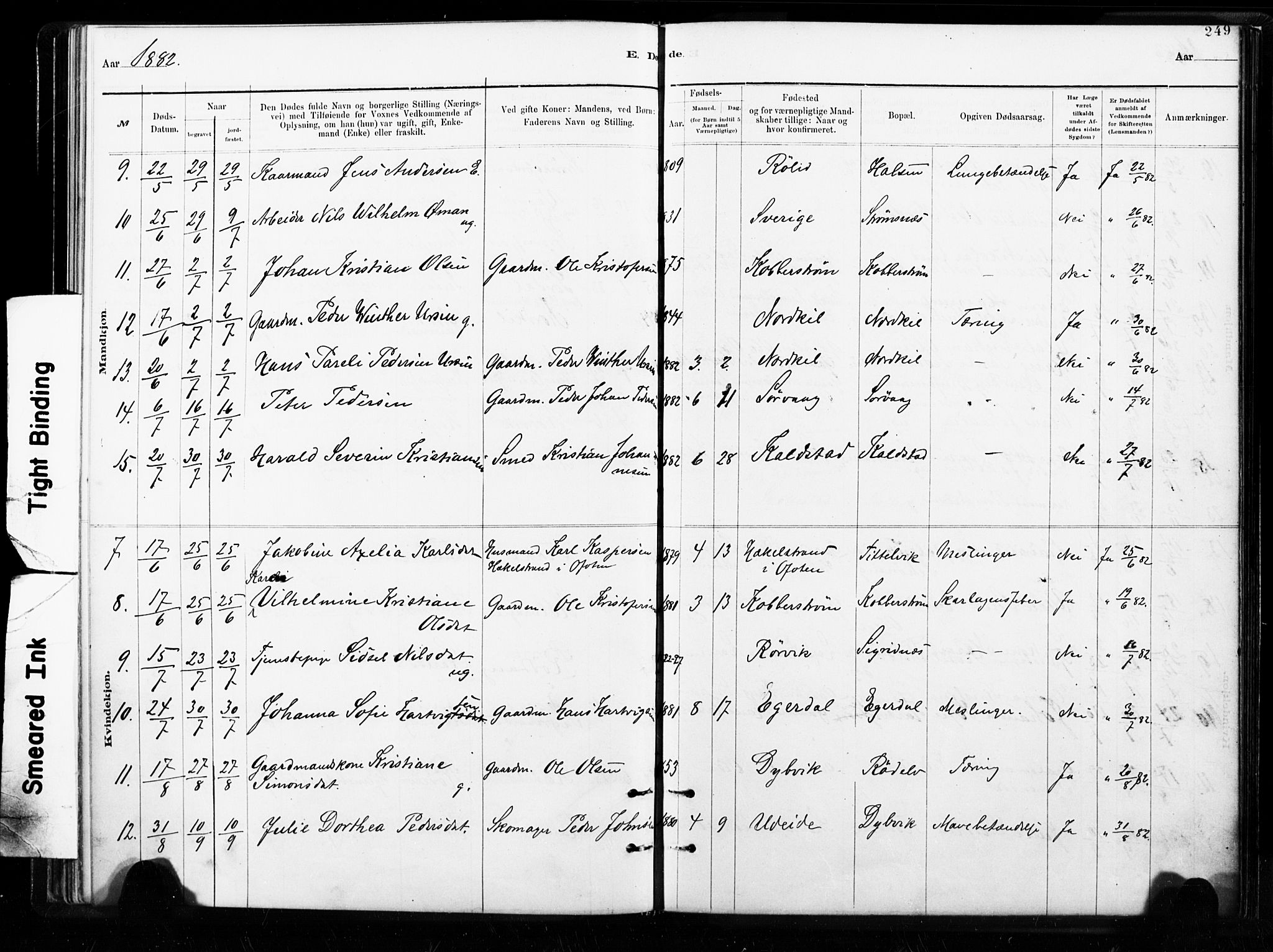 Ministerialprotokoller, klokkerbøker og fødselsregistre - Nordland, AV/SAT-A-1459/859/L0846: Parish register (official) no. 859A06, 1878-1889, p. 249