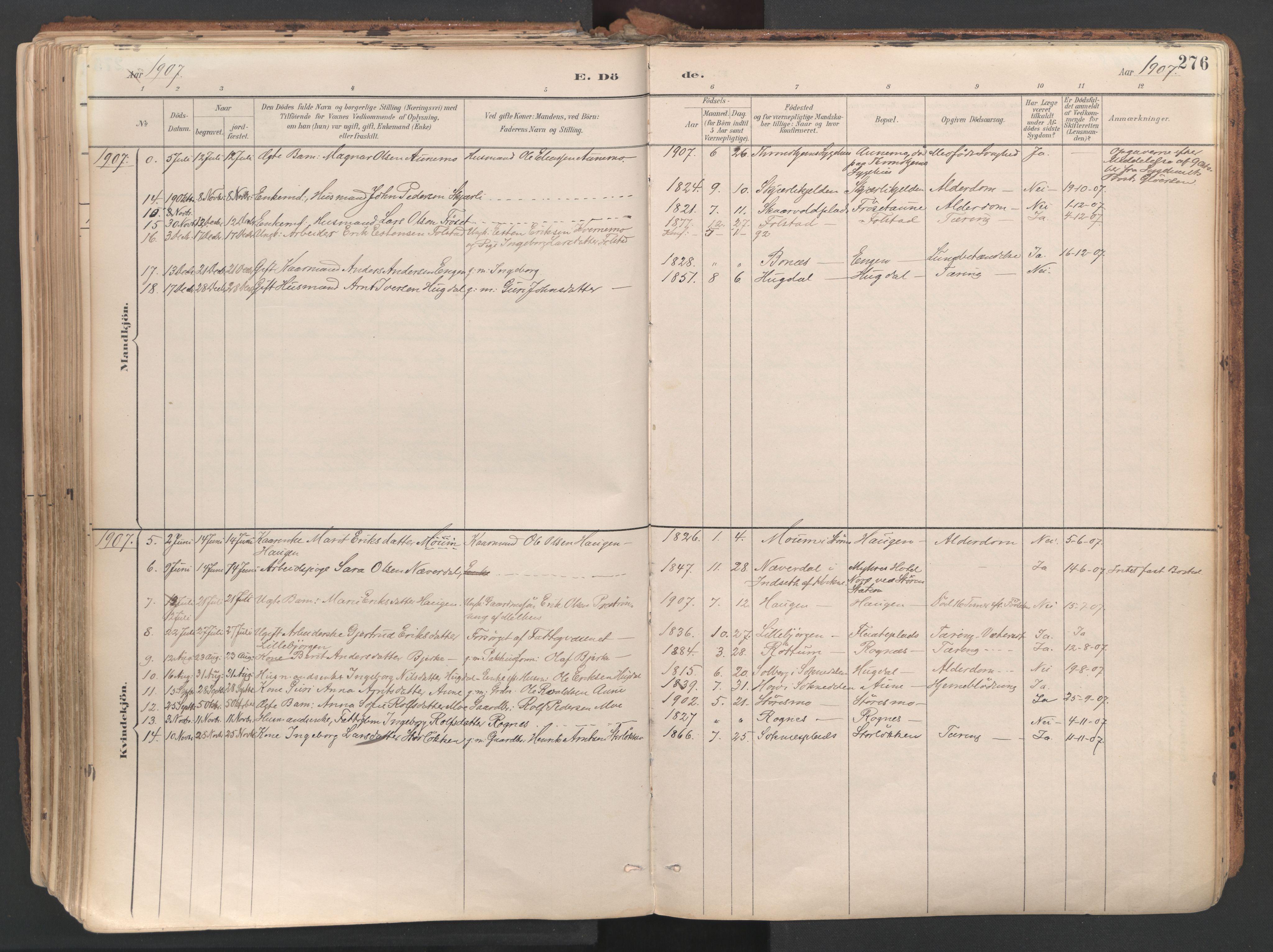 Ministerialprotokoller, klokkerbøker og fødselsregistre - Sør-Trøndelag, SAT/A-1456/687/L1004: Parish register (official) no. 687A10, 1891-1923, p. 276