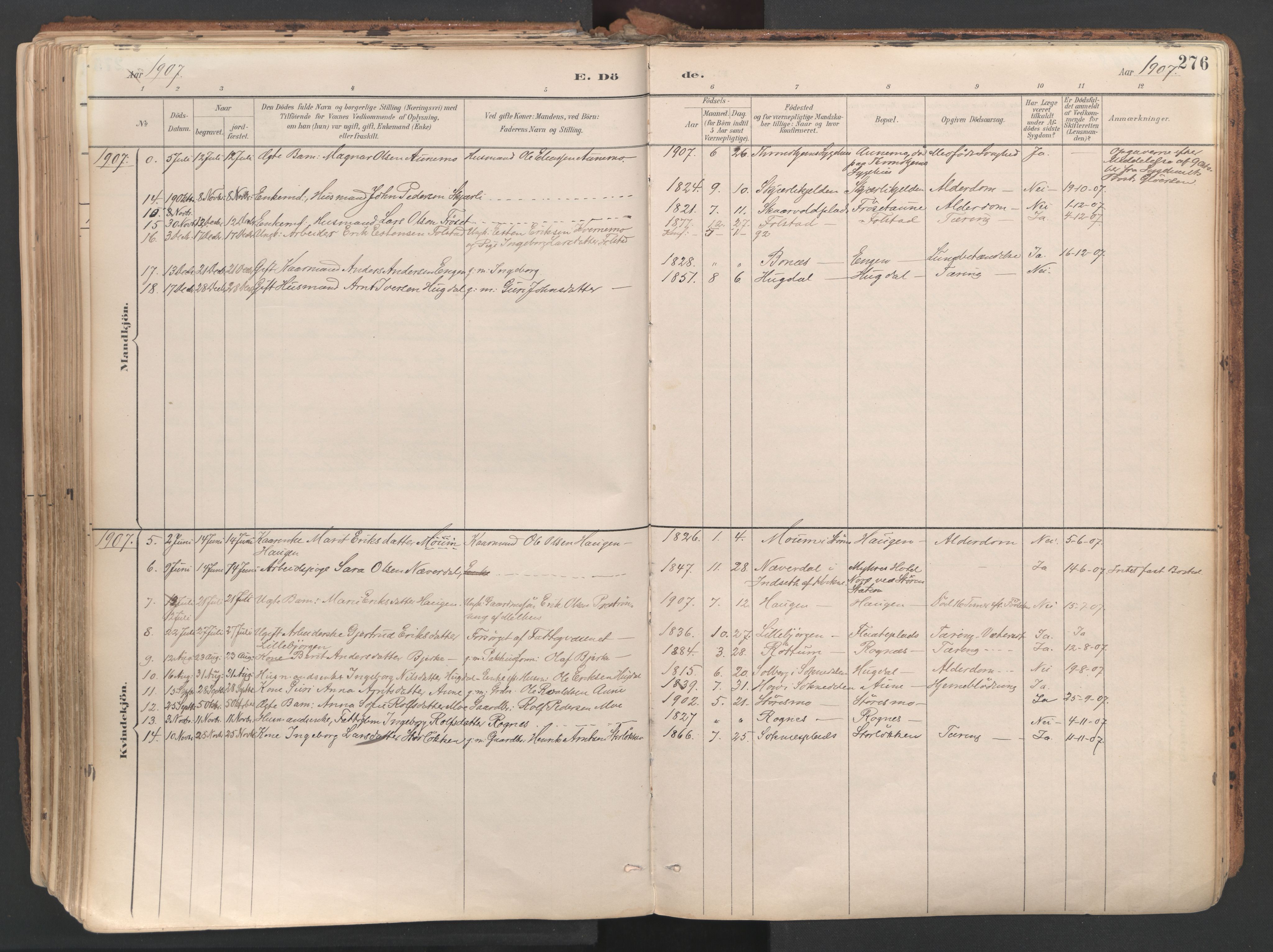 Ministerialprotokoller, klokkerbøker og fødselsregistre - Sør-Trøndelag, AV/SAT-A-1456/687/L1004: Parish register (official) no. 687A10, 1891-1923, p. 276