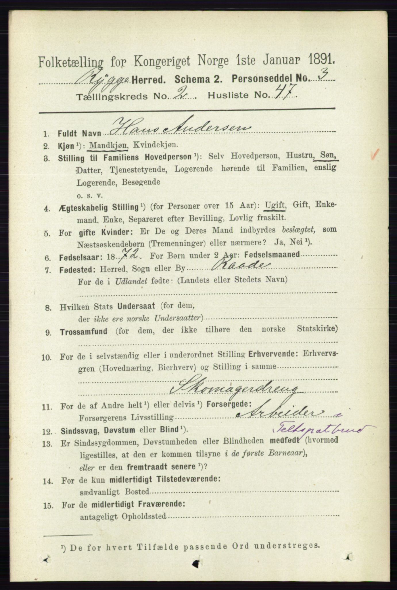 RA, 1891 census for 0136 Rygge, 1891, p. 1302