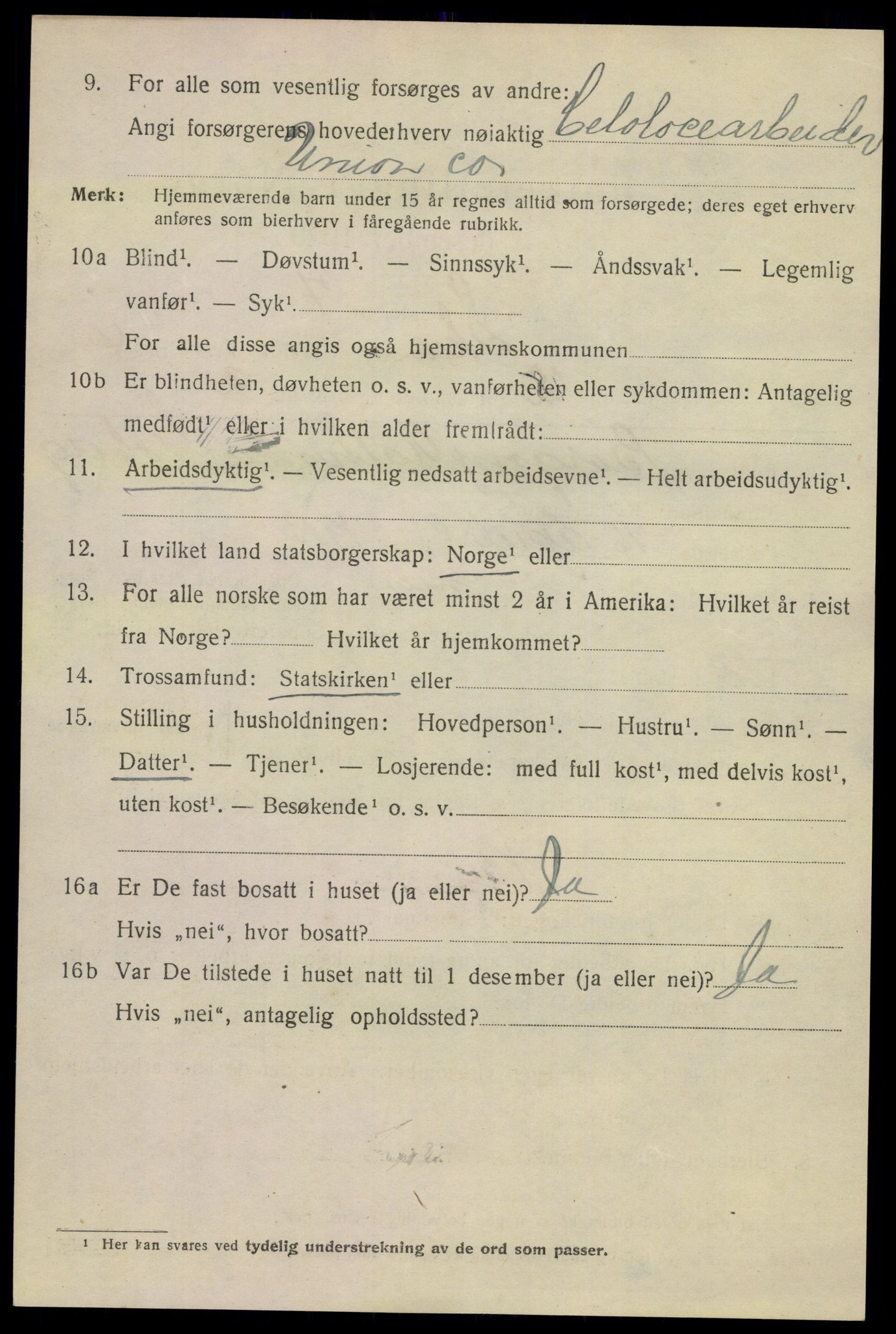 SAKO, 1920 census for Skien, 1920, p. 16939