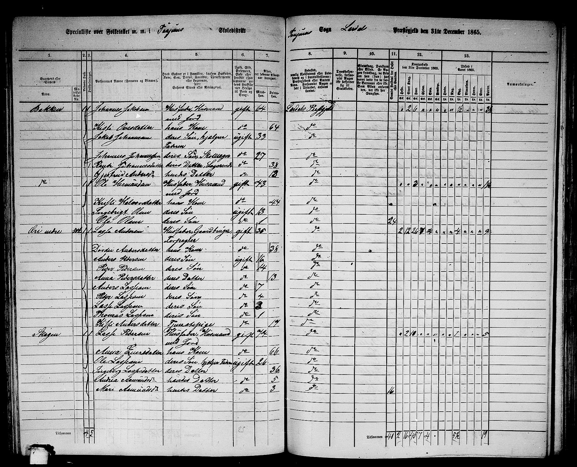 RA, 1865 census for Lærdal, 1865, p. 107