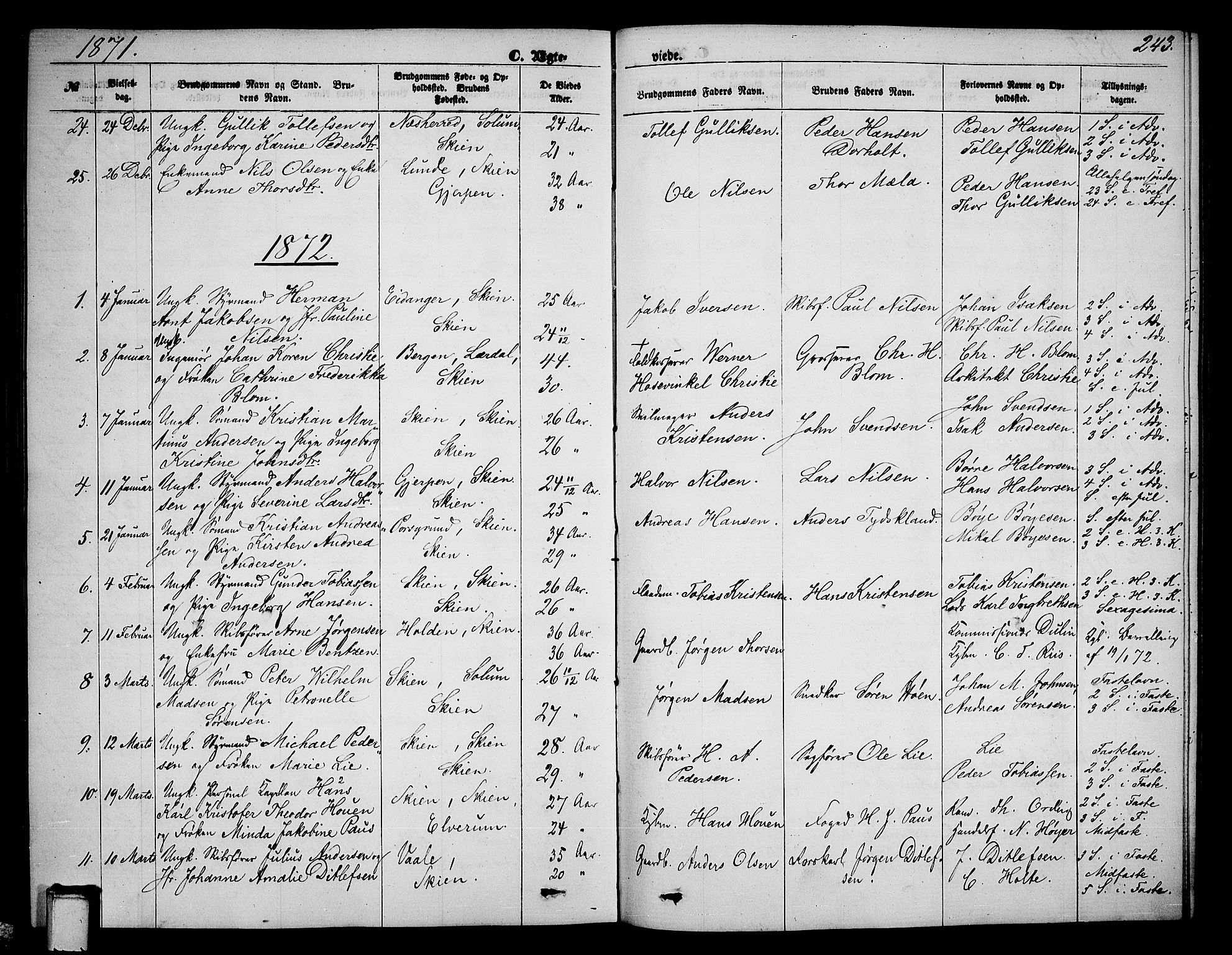 Skien kirkebøker, AV/SAKO-A-302/G/Ga/L0005: Parish register (copy) no. 5, 1868-1880, p. 243