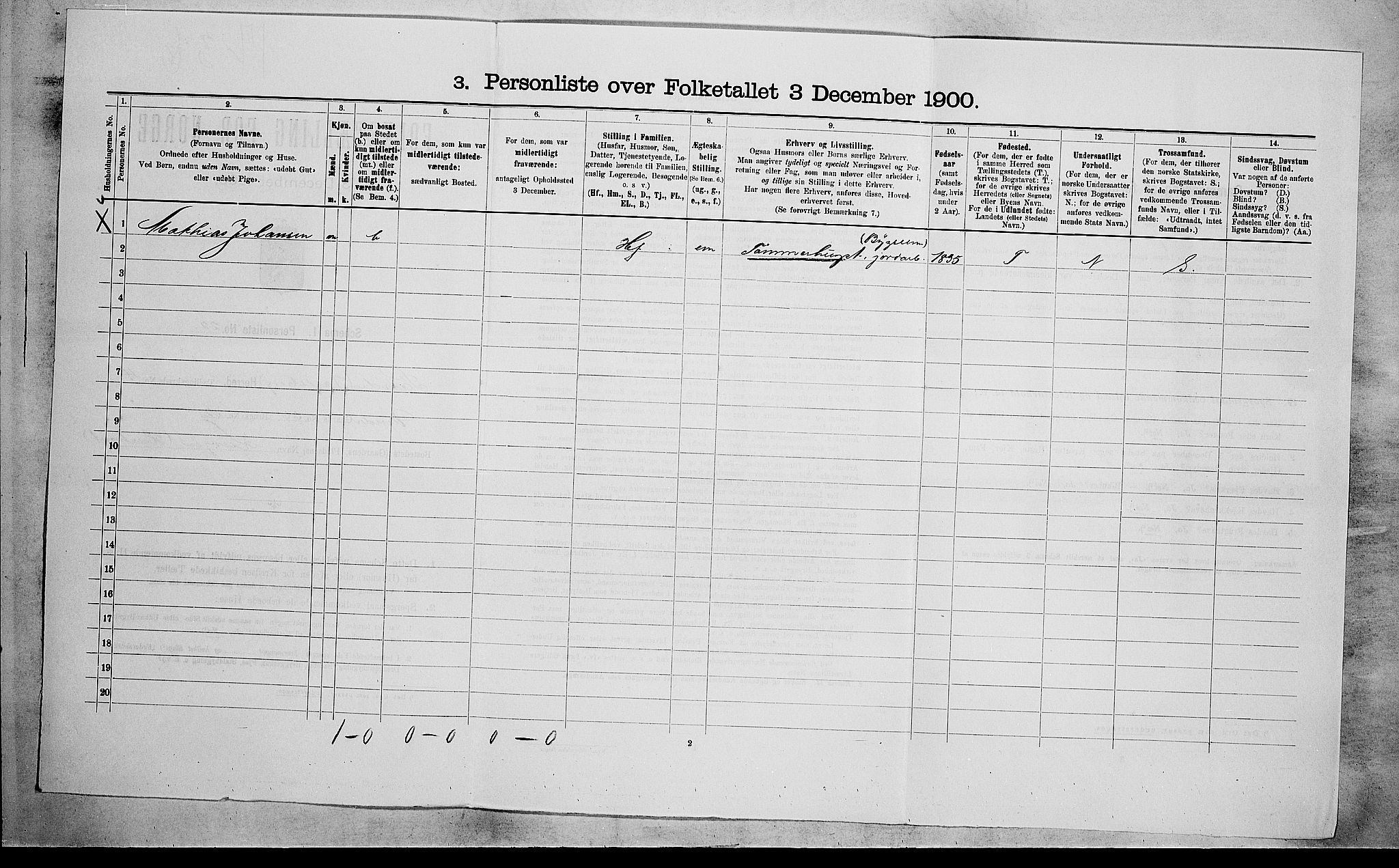 RA, 1900 census for Sande, 1900, p. 666