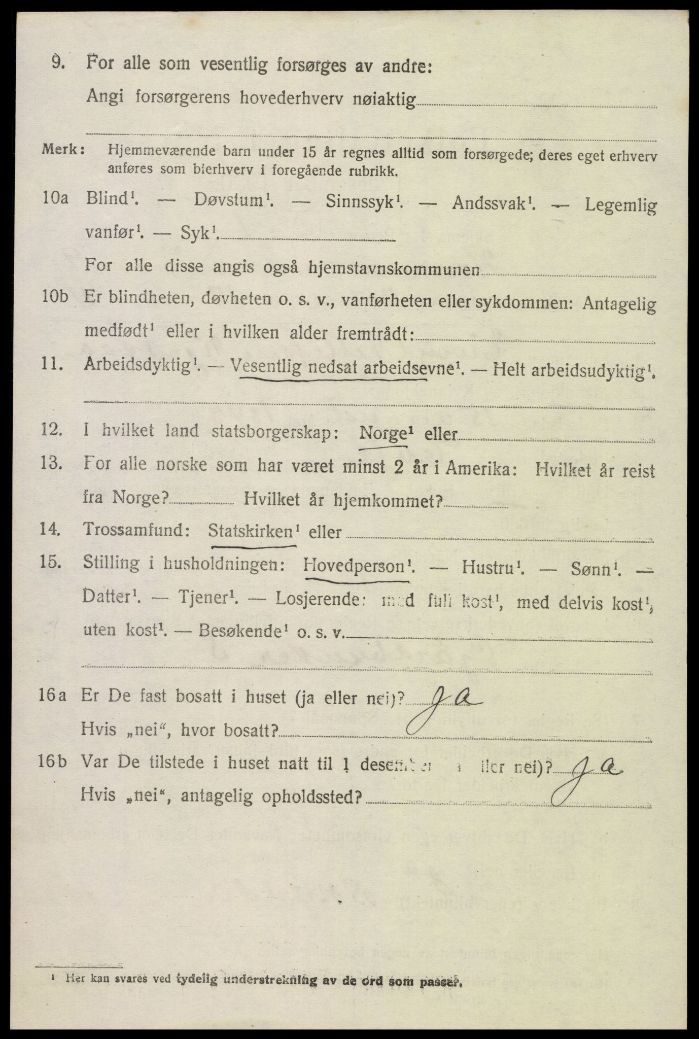 SAK, 1920 census for Hornnes, 1920, p. 2494
