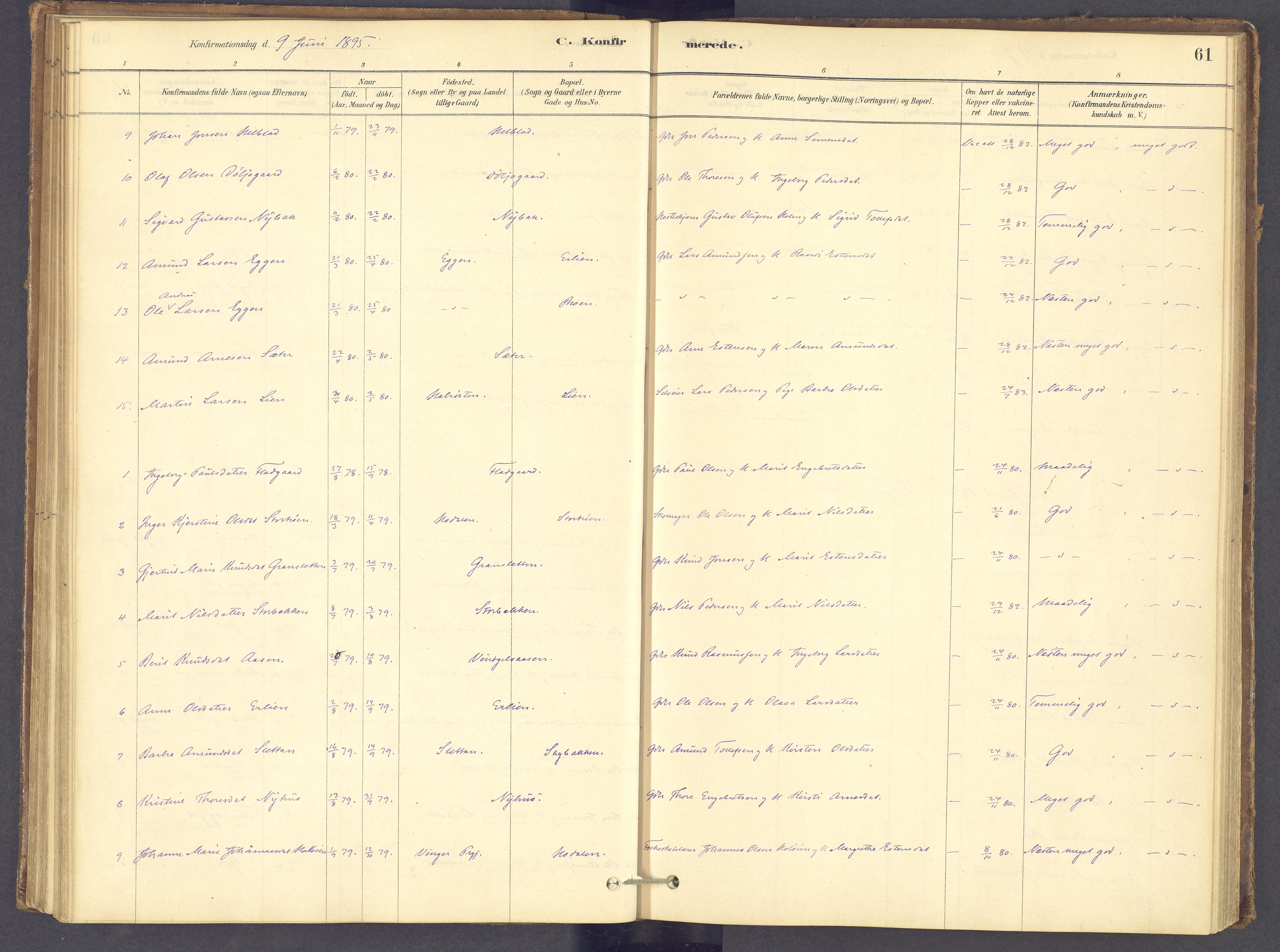 Tolga prestekontor, SAH/PREST-062/K/L0012: Parish register (official) no. 12, 1877-1925, p. 61