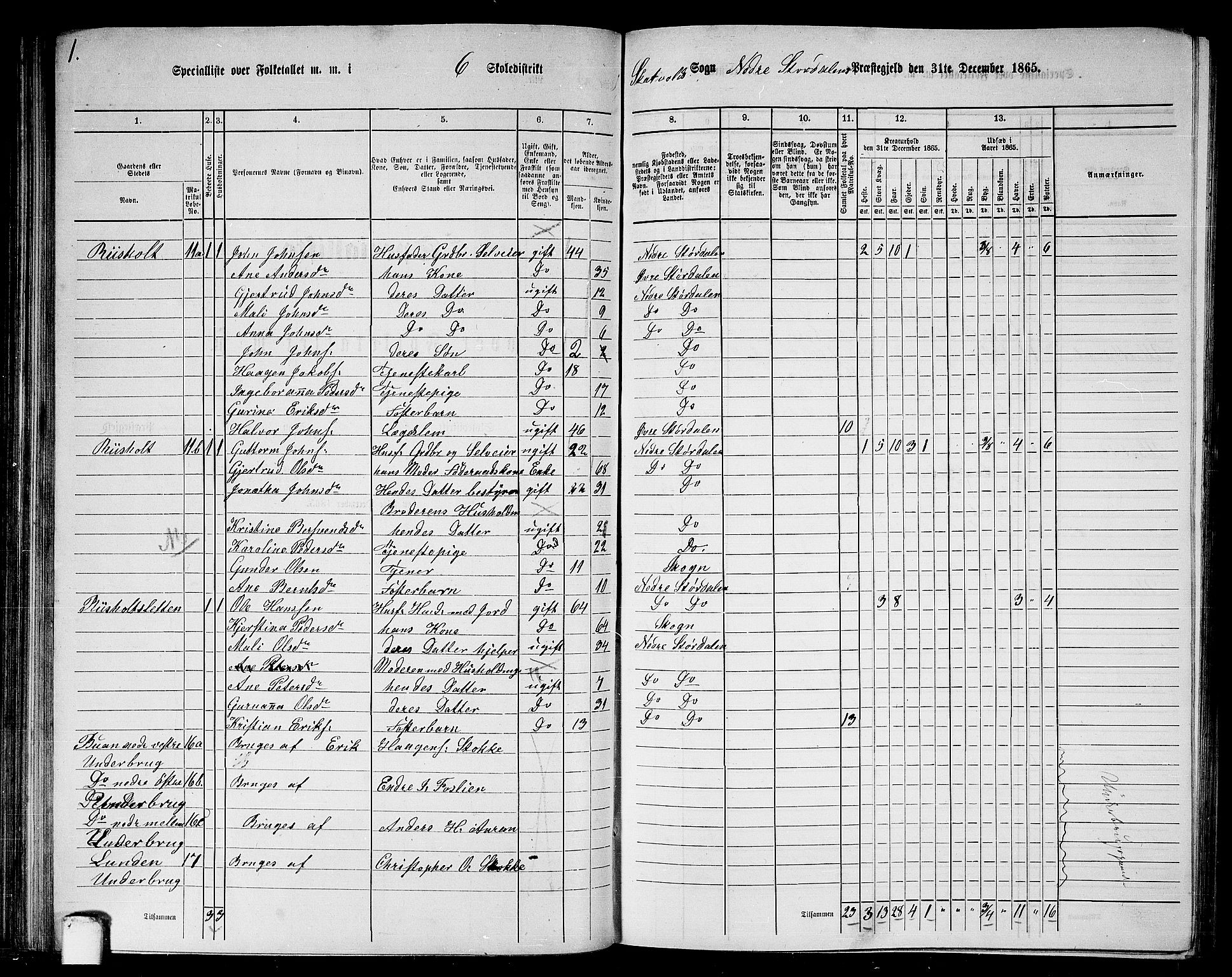 RA, 1865 census for Nedre Stjørdal, 1865, p. 122