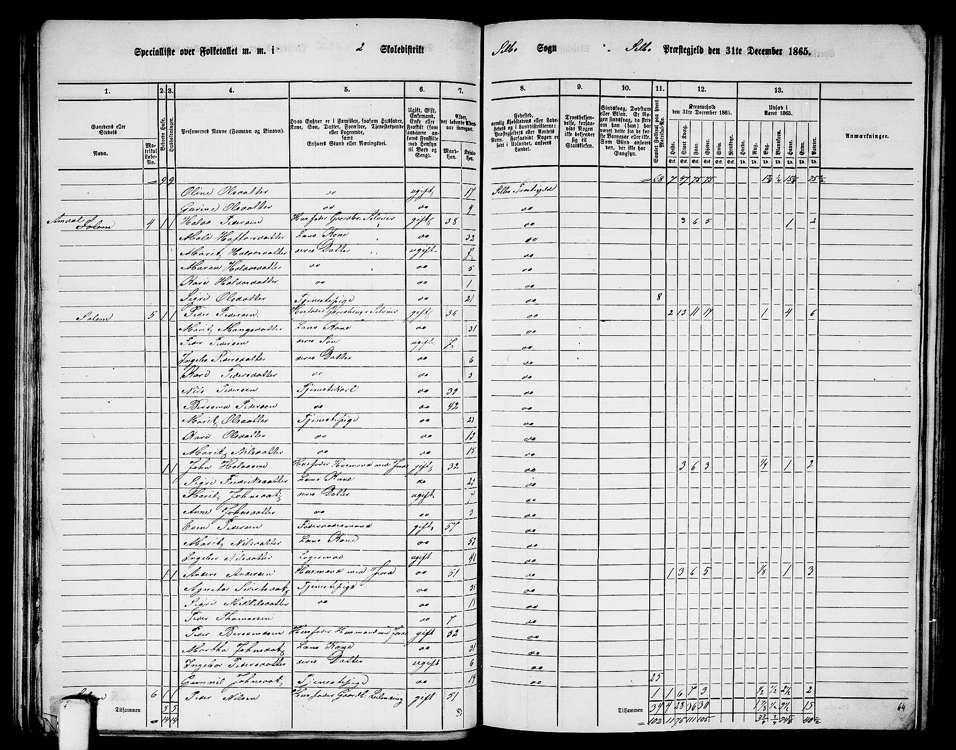 RA, 1865 census for Selbu, 1865, p. 20