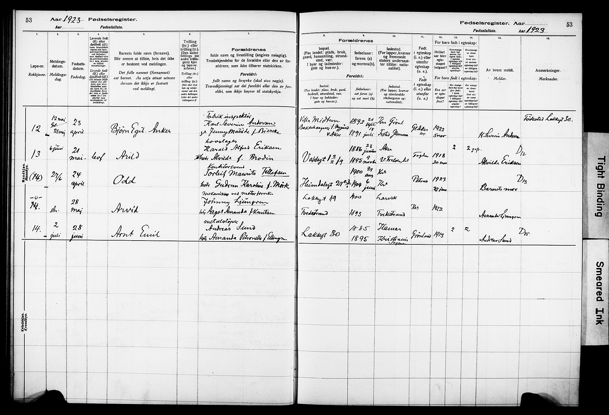 Wexel prestekontor Kirkebøker, AV/SAO-A-10879/J/L0001: Birth register no. 1, 1916-1930, p. 53