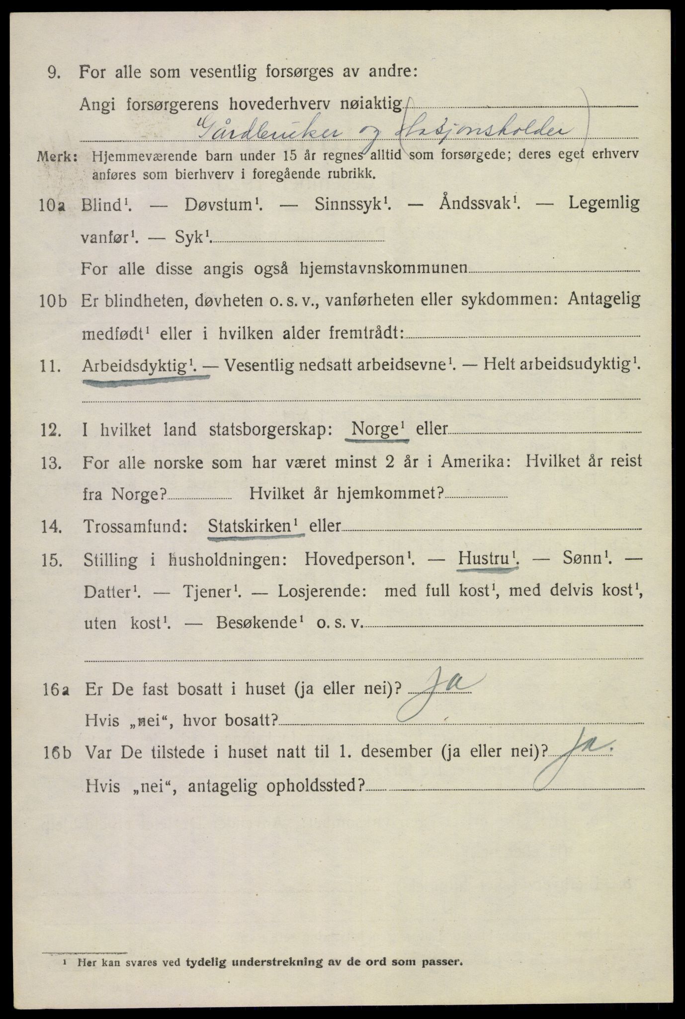 SAKO, 1920 census for Tinn, 1920, p. 3819