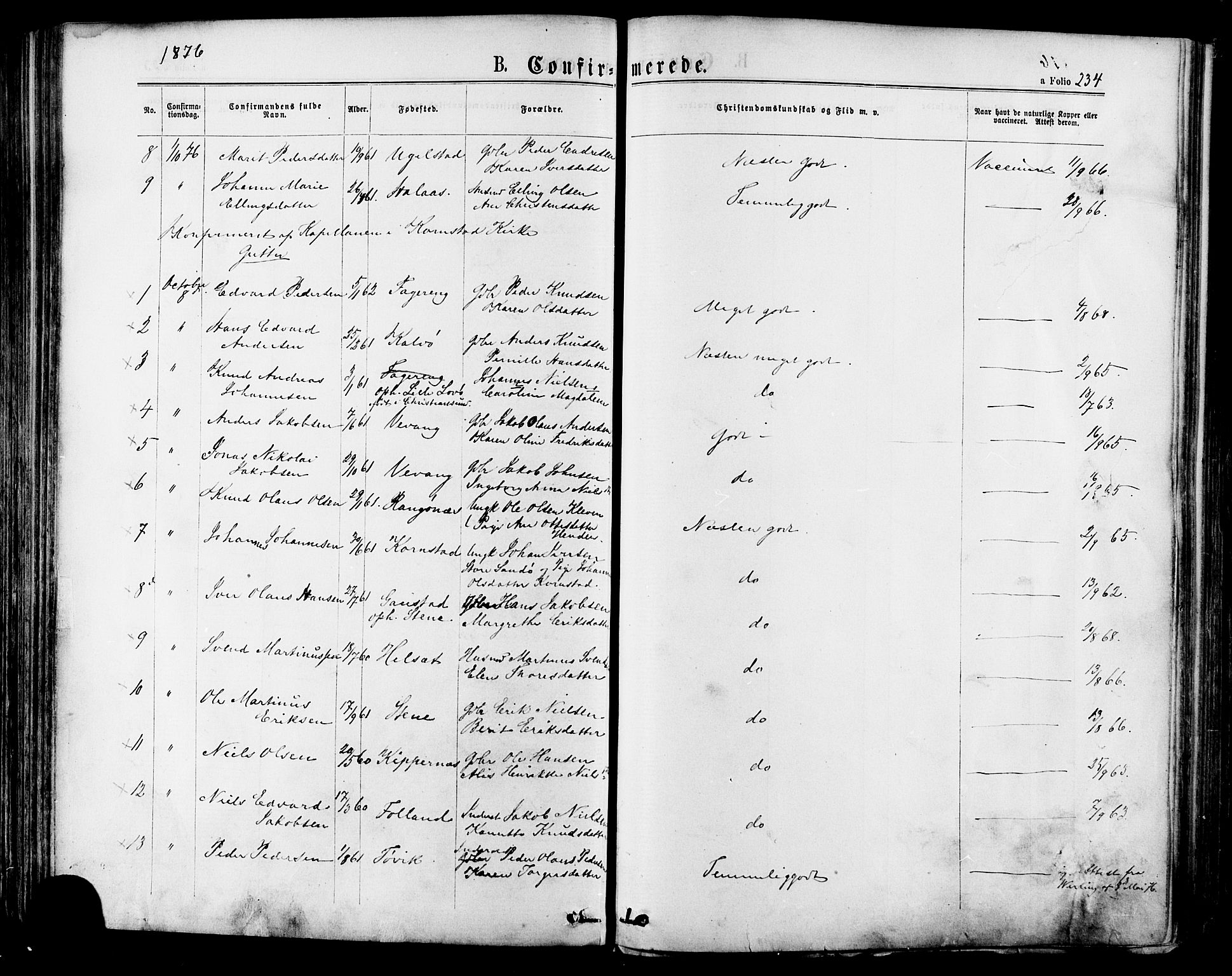 Ministerialprotokoller, klokkerbøker og fødselsregistre - Møre og Romsdal, SAT/A-1454/568/L0805: Parish register (official) no. 568A12 /1, 1869-1884, p. 234
